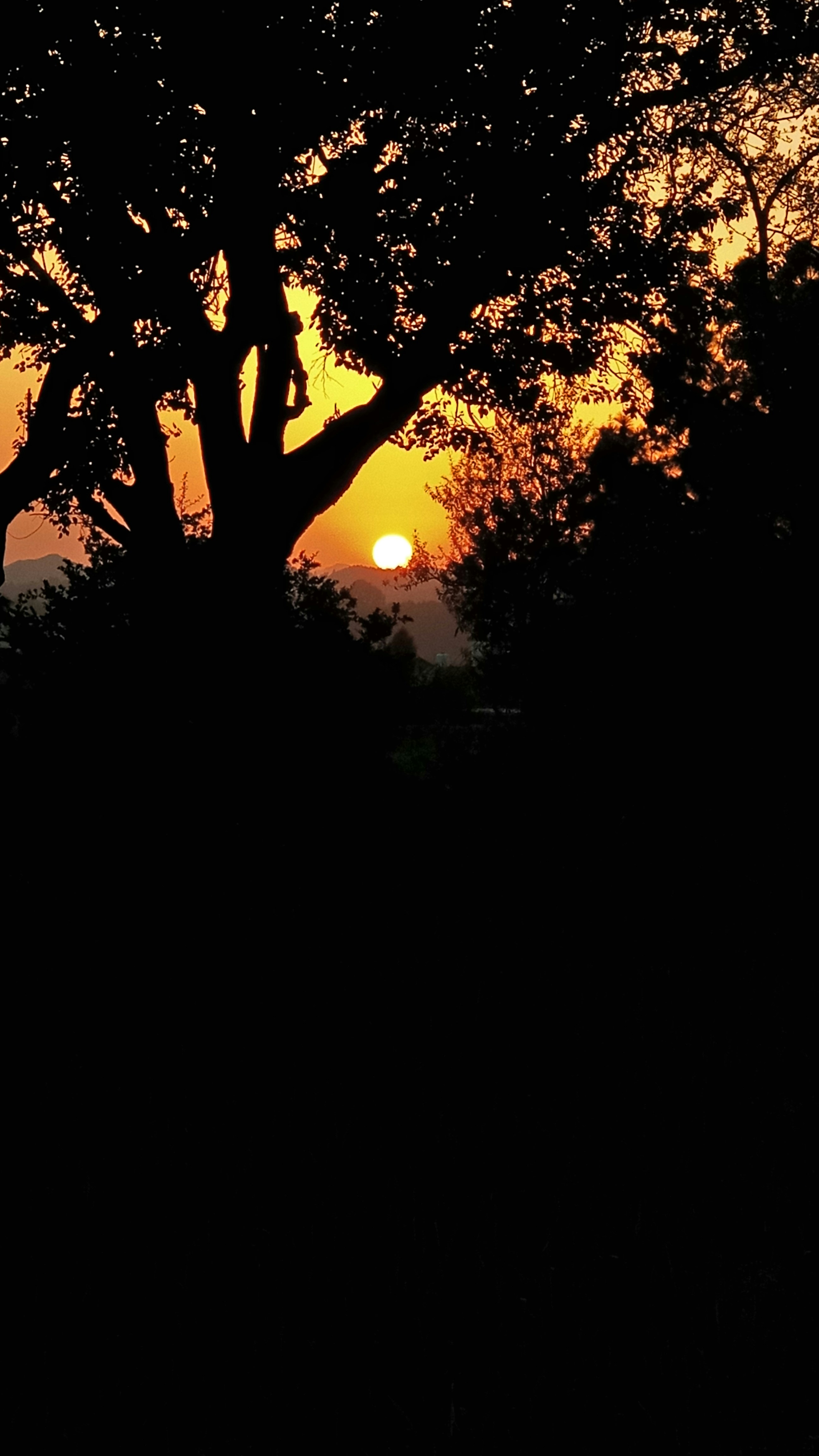 Photo by syednawaz