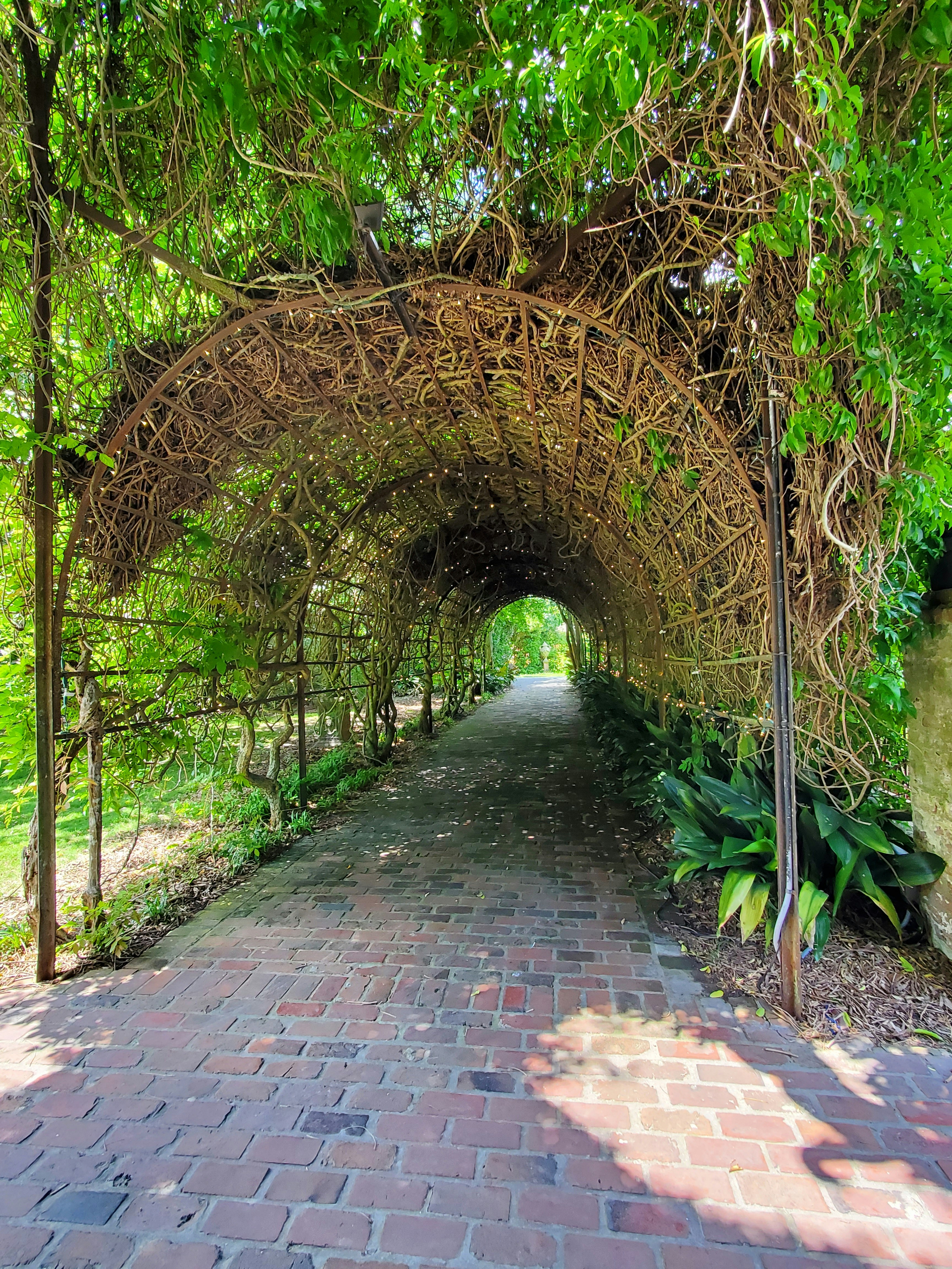 A brick walkway with a vine covered archway photo Free Outdoors Image
