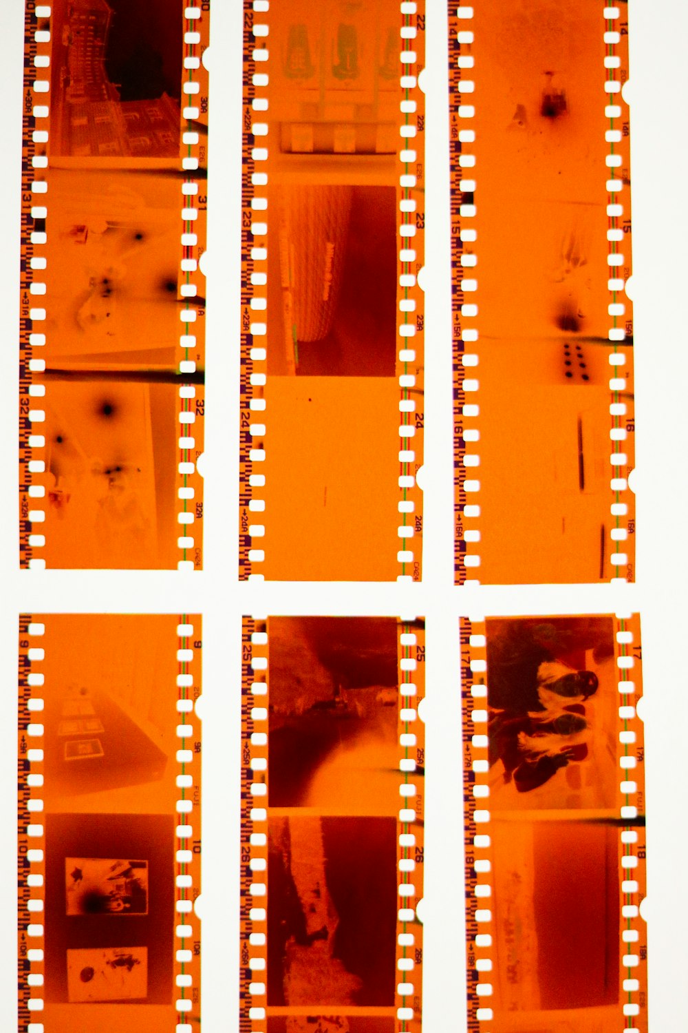 a set of six film strips with a picture of a cat