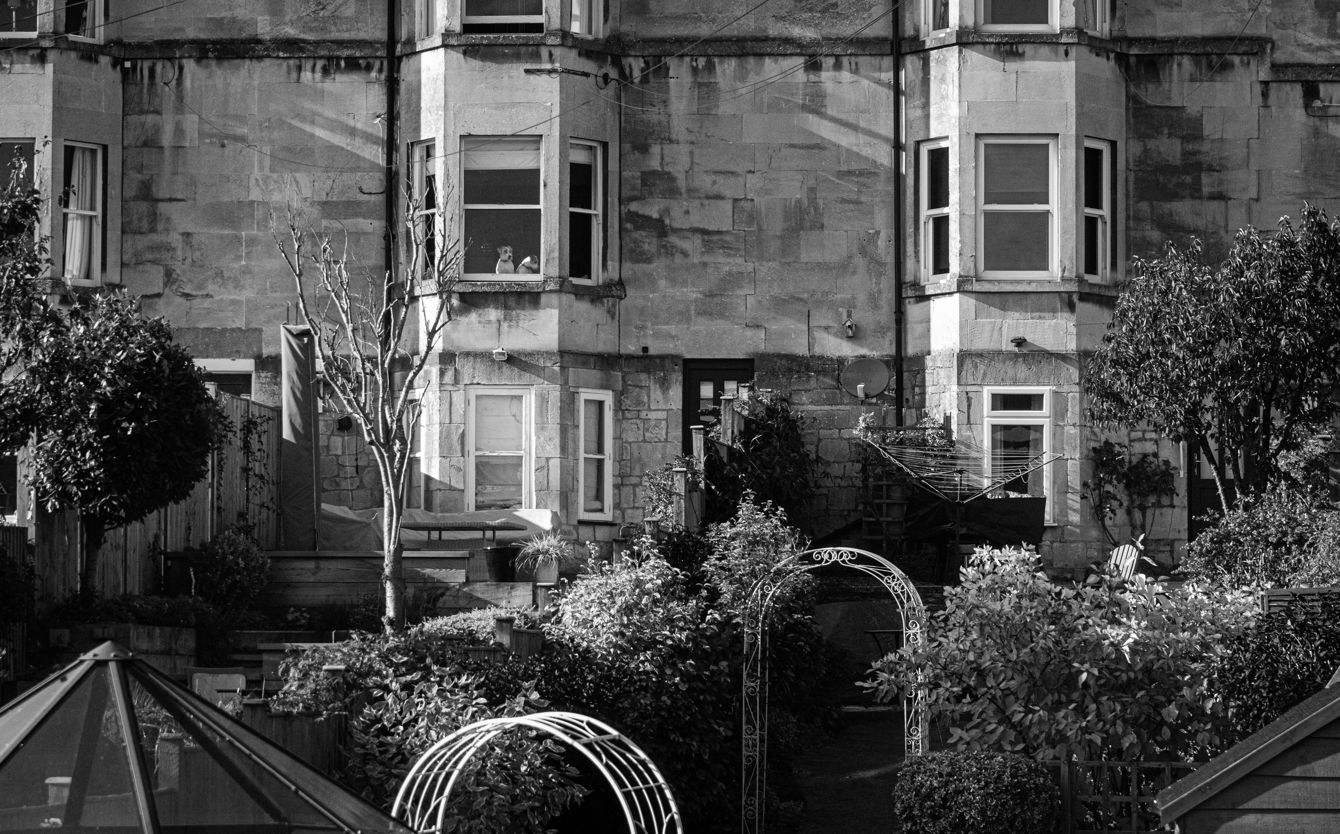 Image by Ákos Nemes via Unsplash