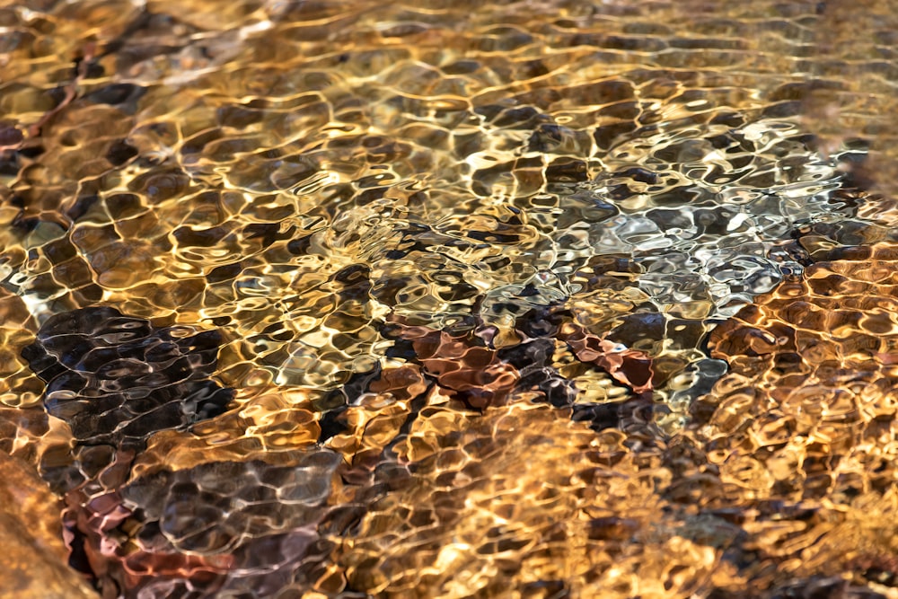 a close up of a rock with water and rocks