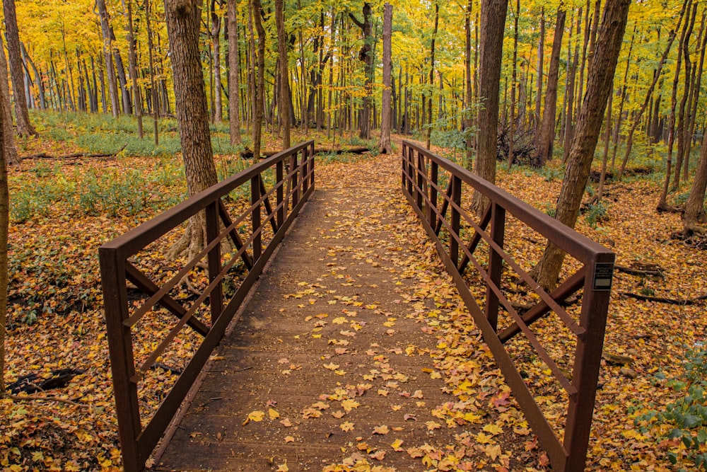 a wooden bridge in the middle of a forest