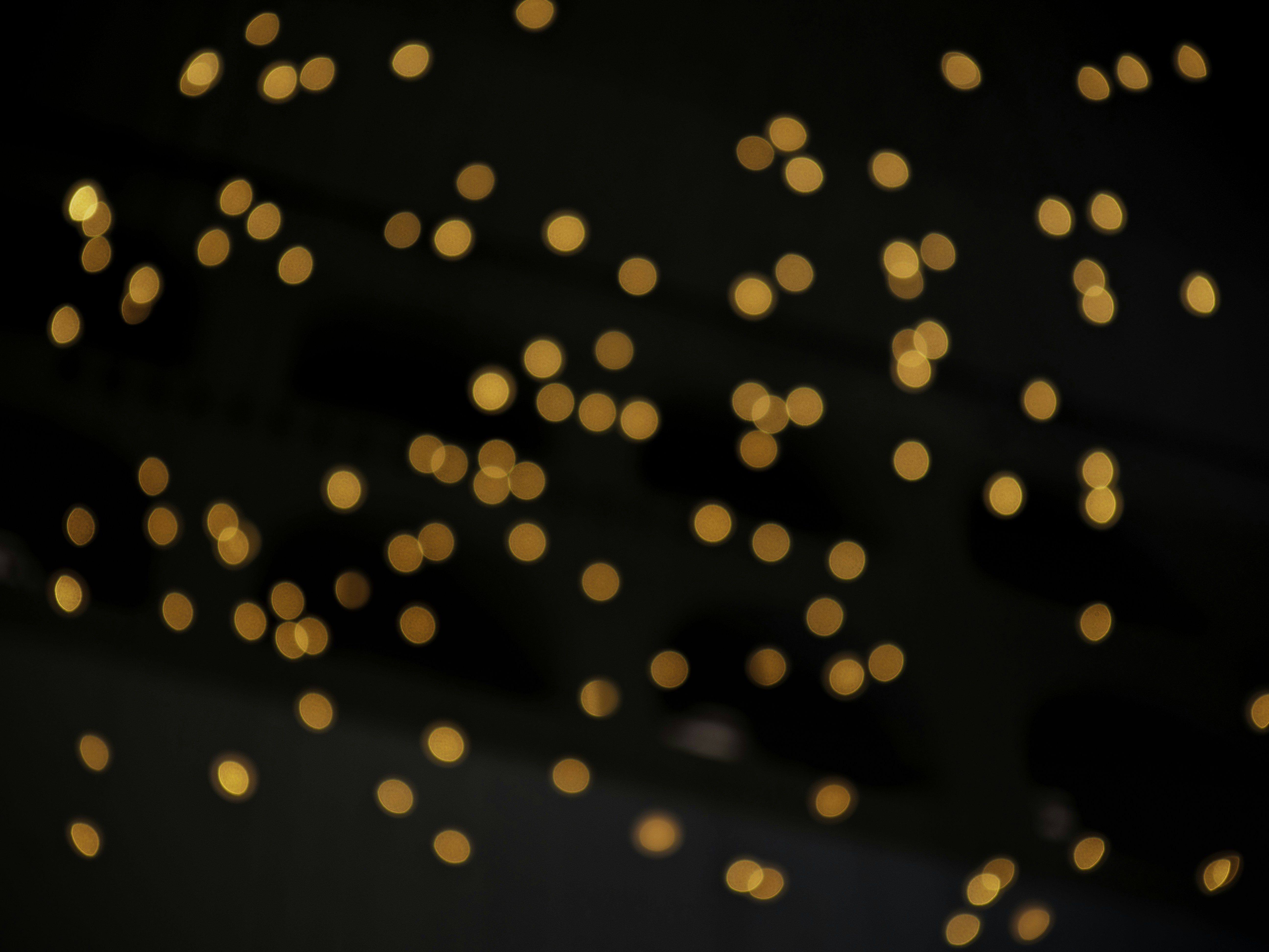 Photo by leonbredella