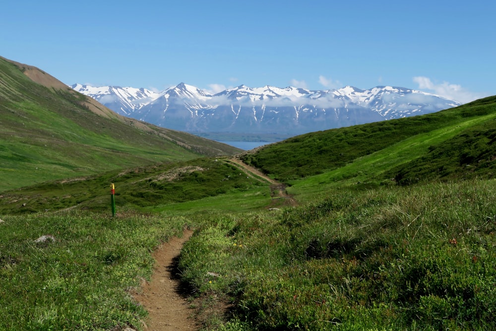 a trail winds through a grassy valley with mountains in the background