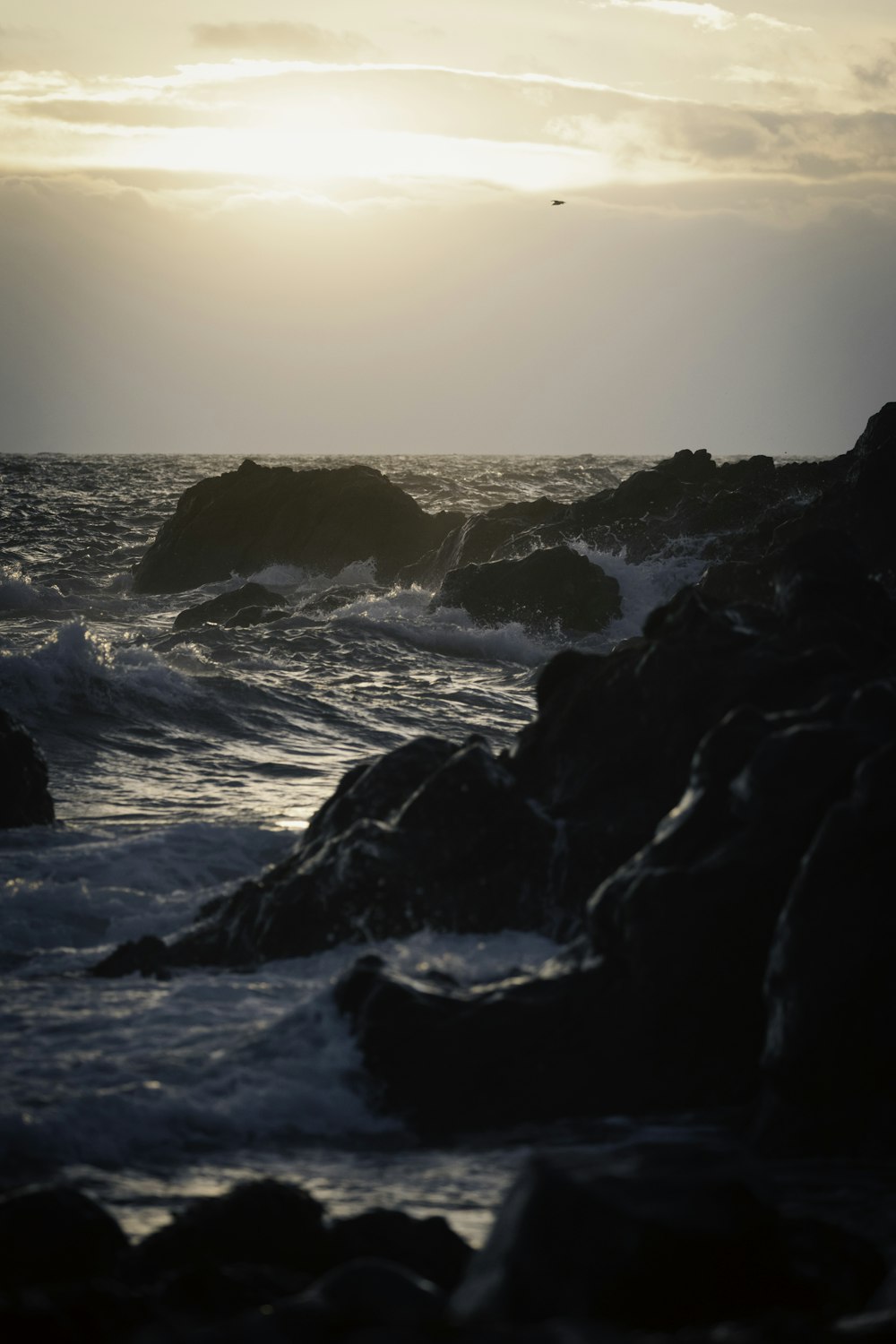 太陽は海と岩の上に沈んでいます