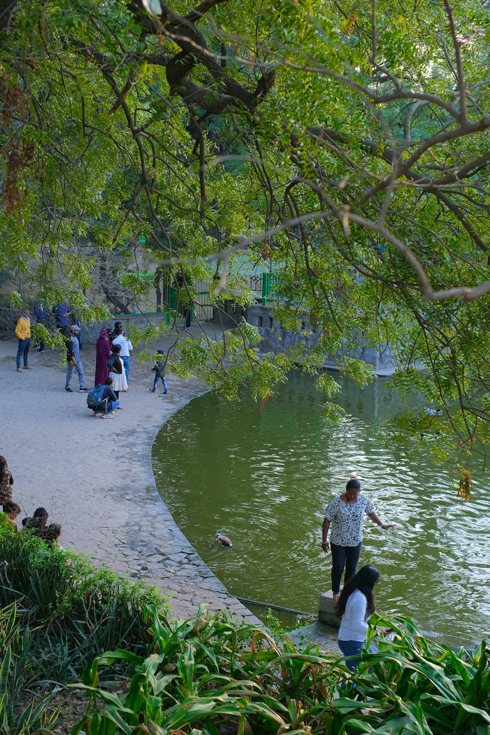 a group of people standing next to a body of water