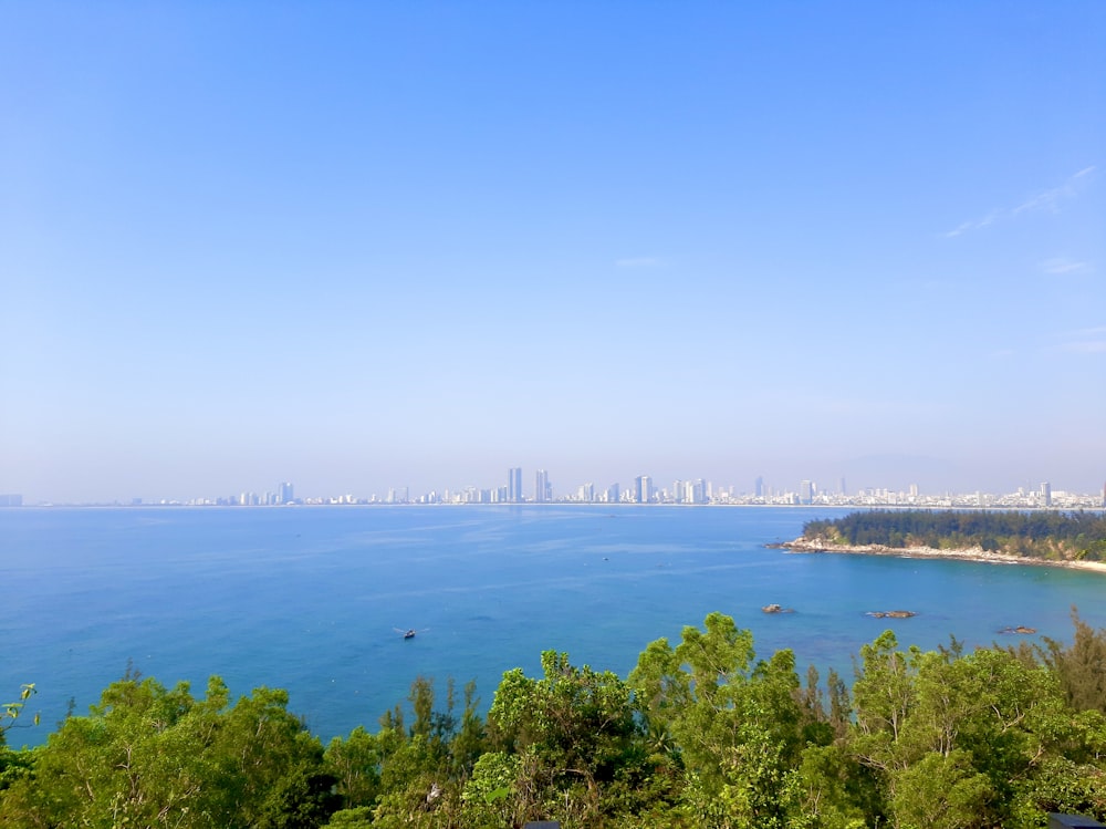 a large body of water surrounded by trees