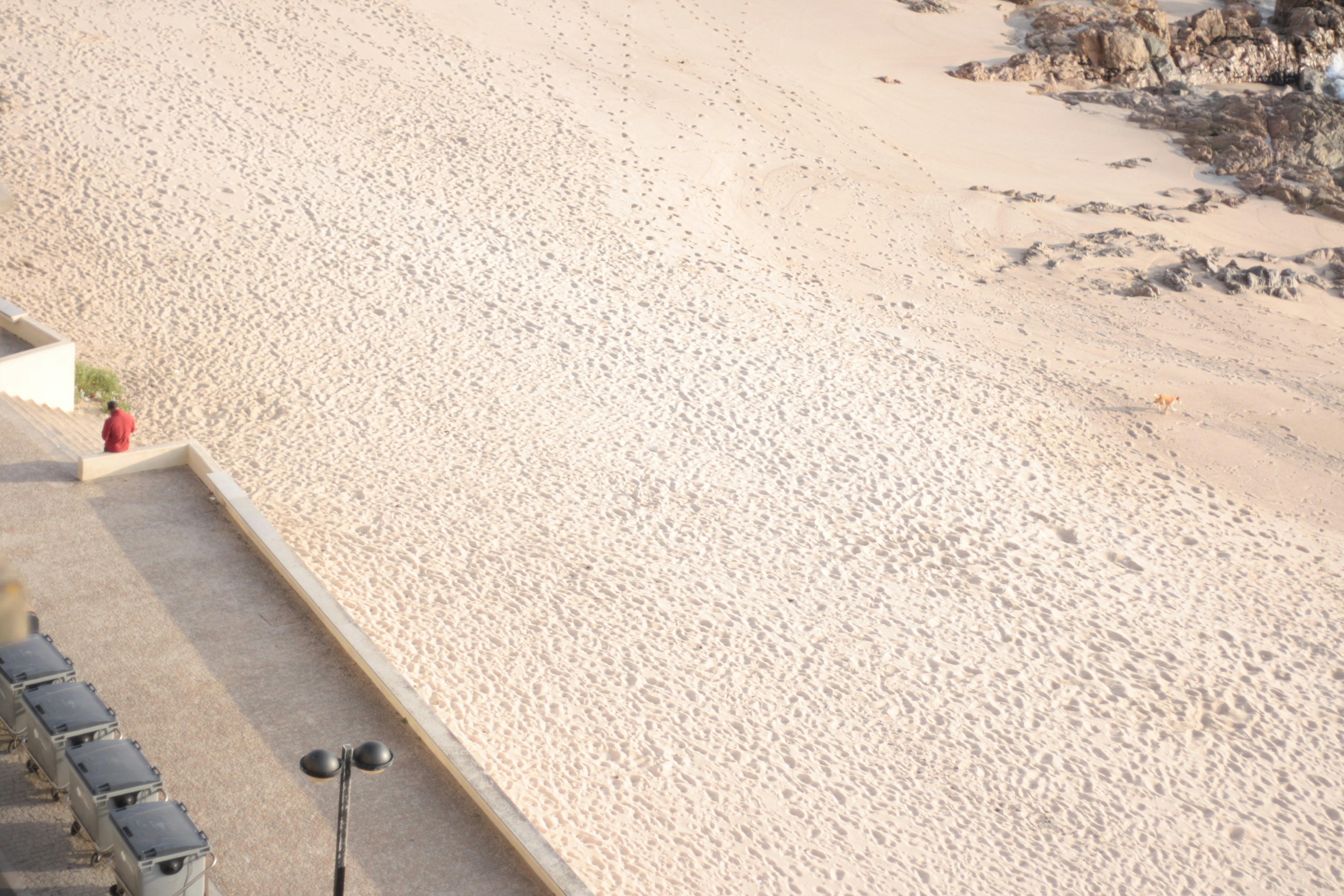 Photo by canon1000denthusiast