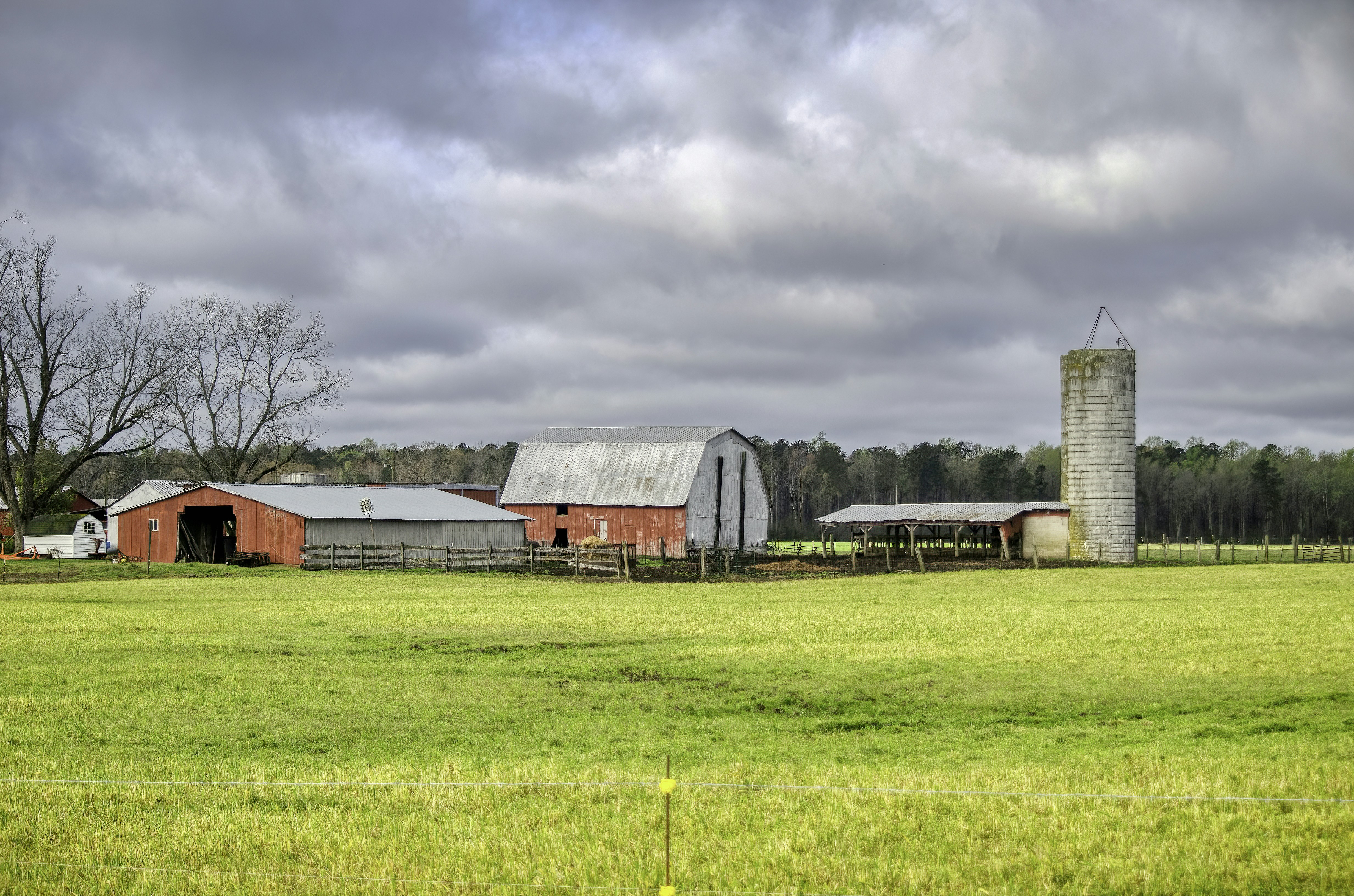 Defining THCa Under the 2018 Farm Bill and How Federal Hemp Limits Apply