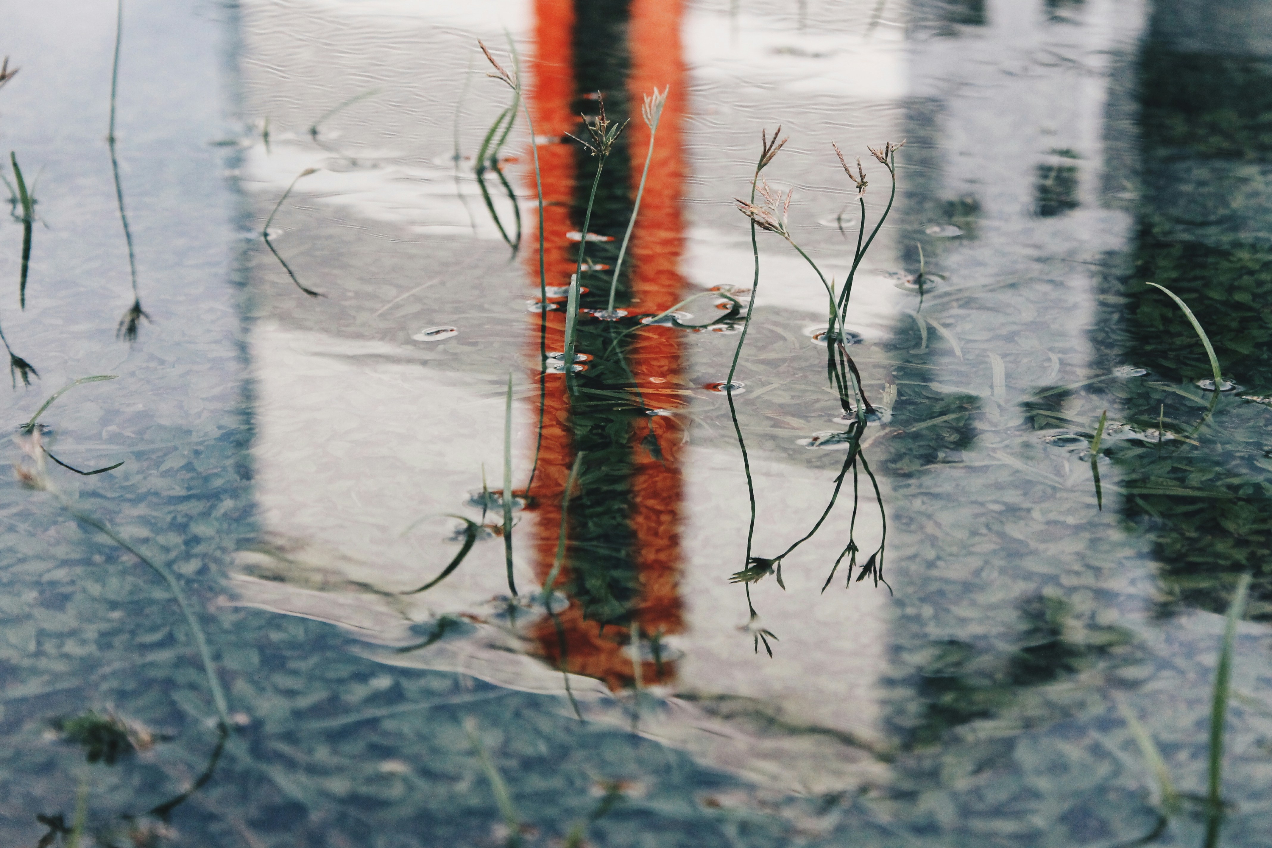 Photo by roadahead_2223