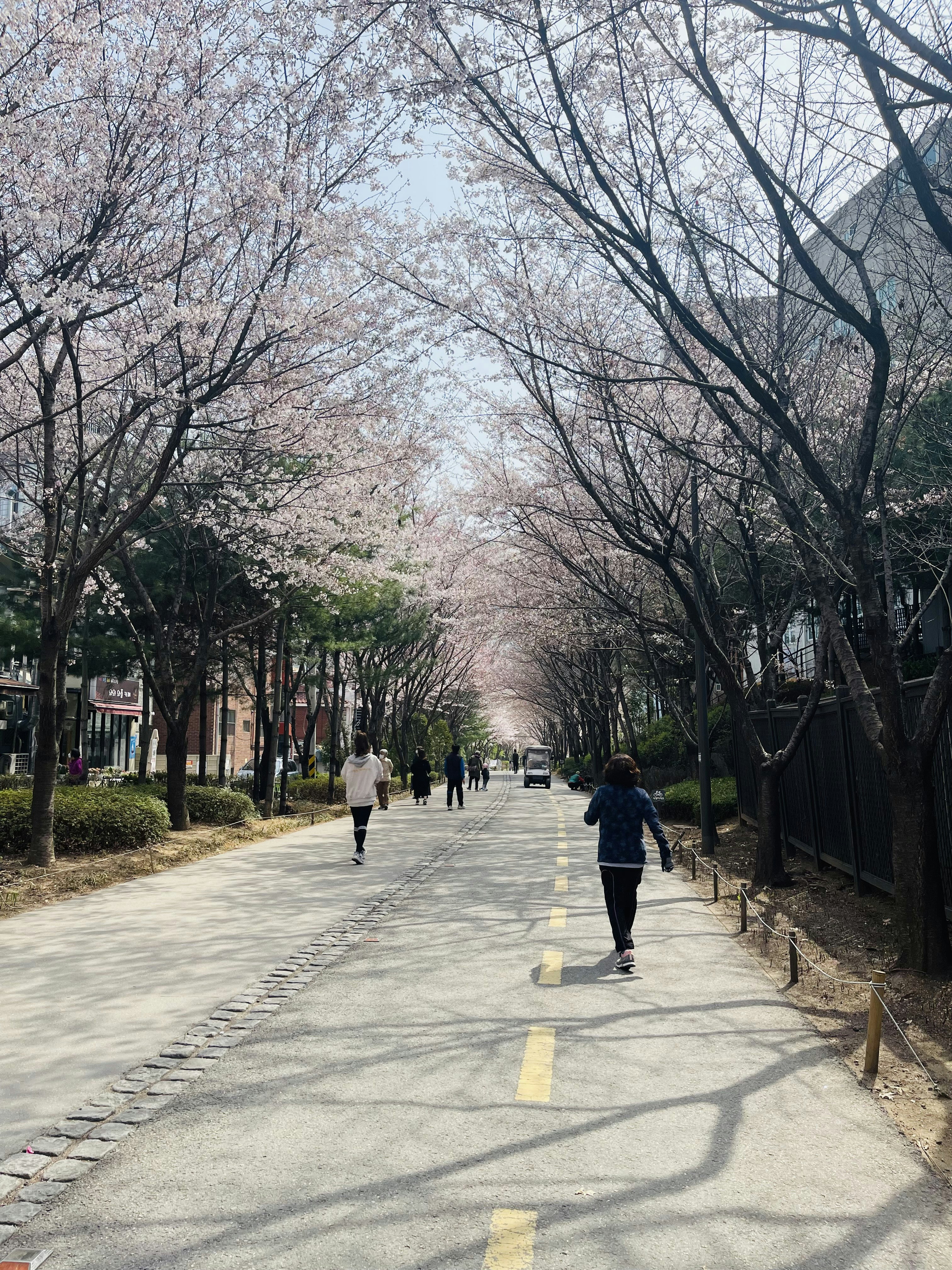 Photo by hong_amateurish