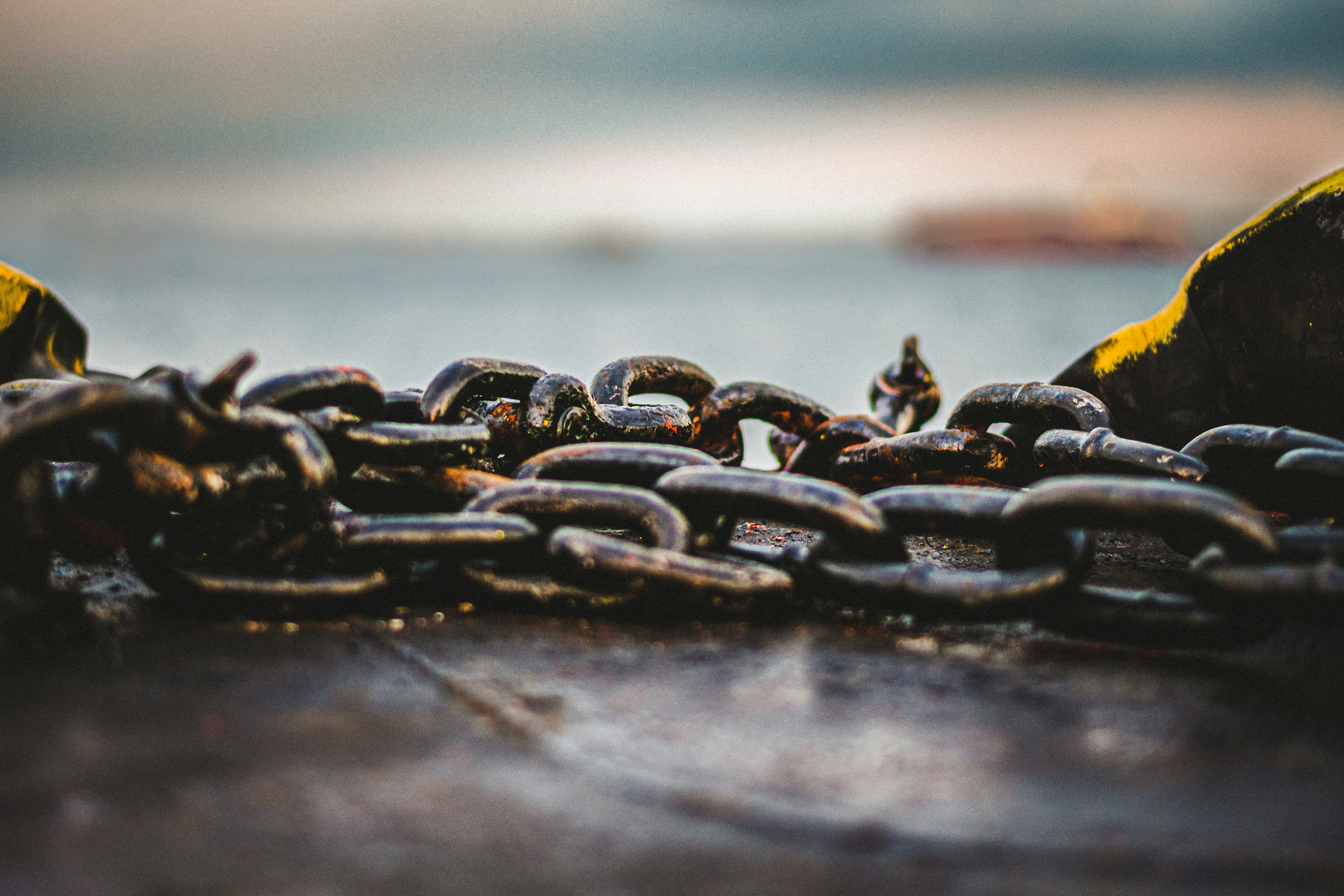 https://images.unsplash.com/photo-1649375640804-058ae9ae8f5e?ixid=M3w2MjYzNjJ8MHwxfHNlYXJjaHw5fHxlYXRlcnRhaW5tZW50JTIwY2hhaW5zfGVufDB8MHx8fDE3MjQxOTMxODV8MA&ixlib=rb-4.0.3