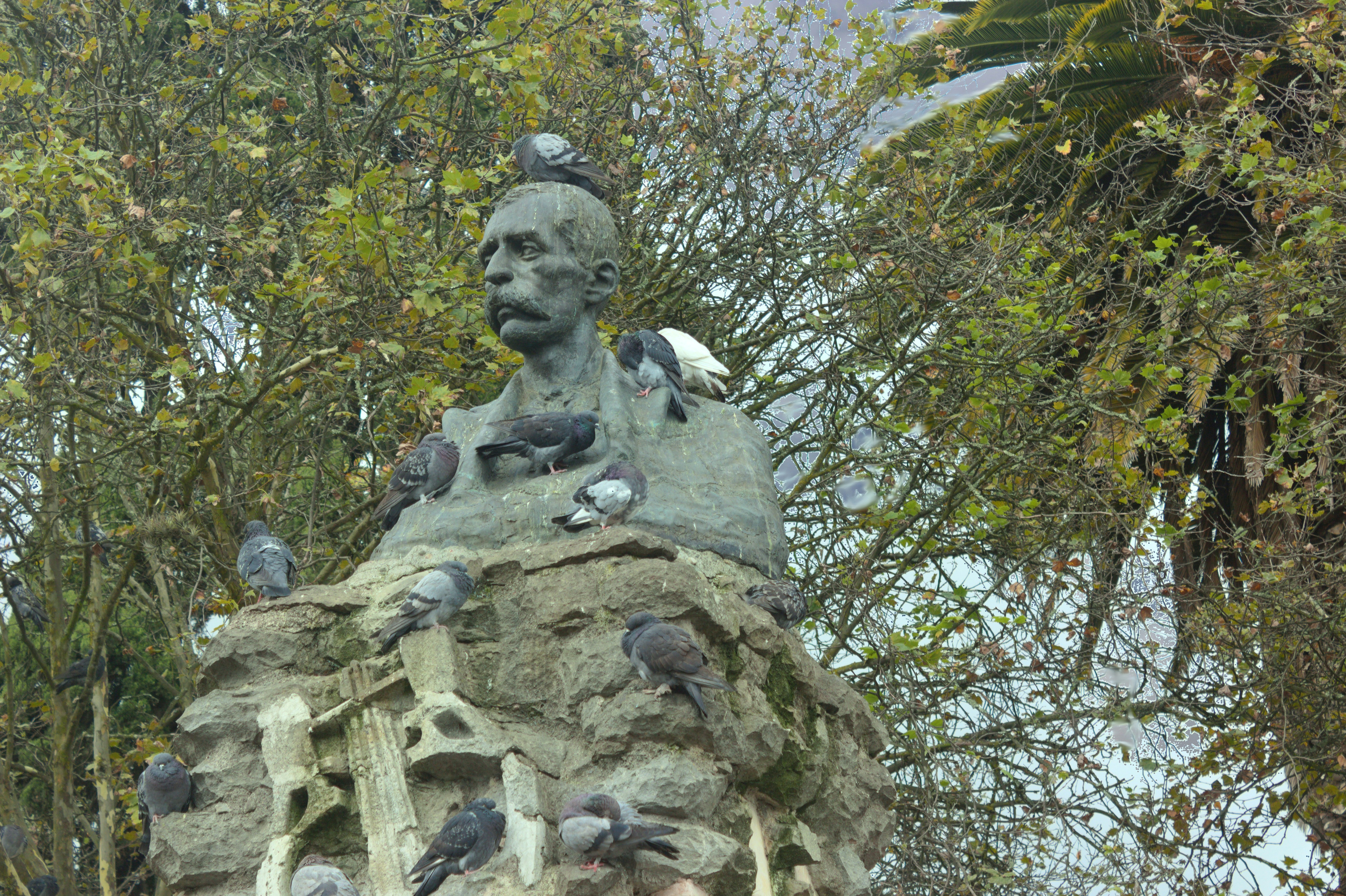 a statue of a man surrounded by birds