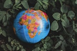 A colorful globe showing geographic regions and countries is nestled among lush green foliage. The focus is primarily on Africa, with vibrant hues highlighting different nations. The surrounding leaves add a natural and organic contrast to the detailed map.