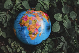 A colorful globe showing geographic regions and countries is nestled among lush green foliage. The focus is primarily on Africa, with vibrant hues highlighting different nations. The surrounding leaves add a natural and organic contrast to the detailed map.