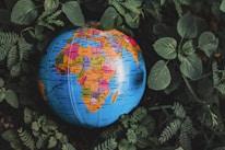 A global map highlighting spice origins with delicate emerald and gold overlays.