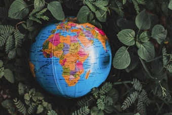 A colorful globe showing geographic regions and countries is nestled among lush green foliage. The focus is primarily on Africa, with vibrant hues highlighting different nations. The surrounding leaves add a natural and organic contrast to the detailed map.