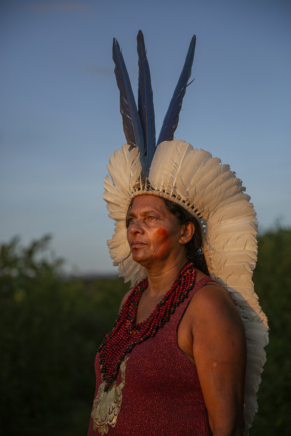 a woman wearing a headdress with feathers on her head