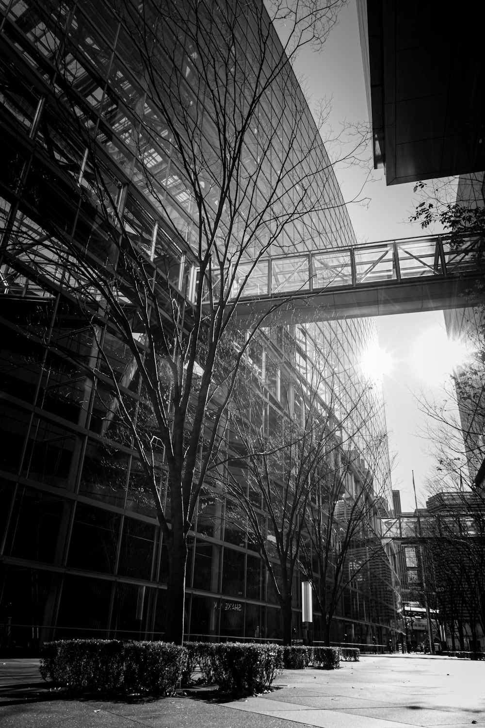 a black and white photo of a building and a bridge