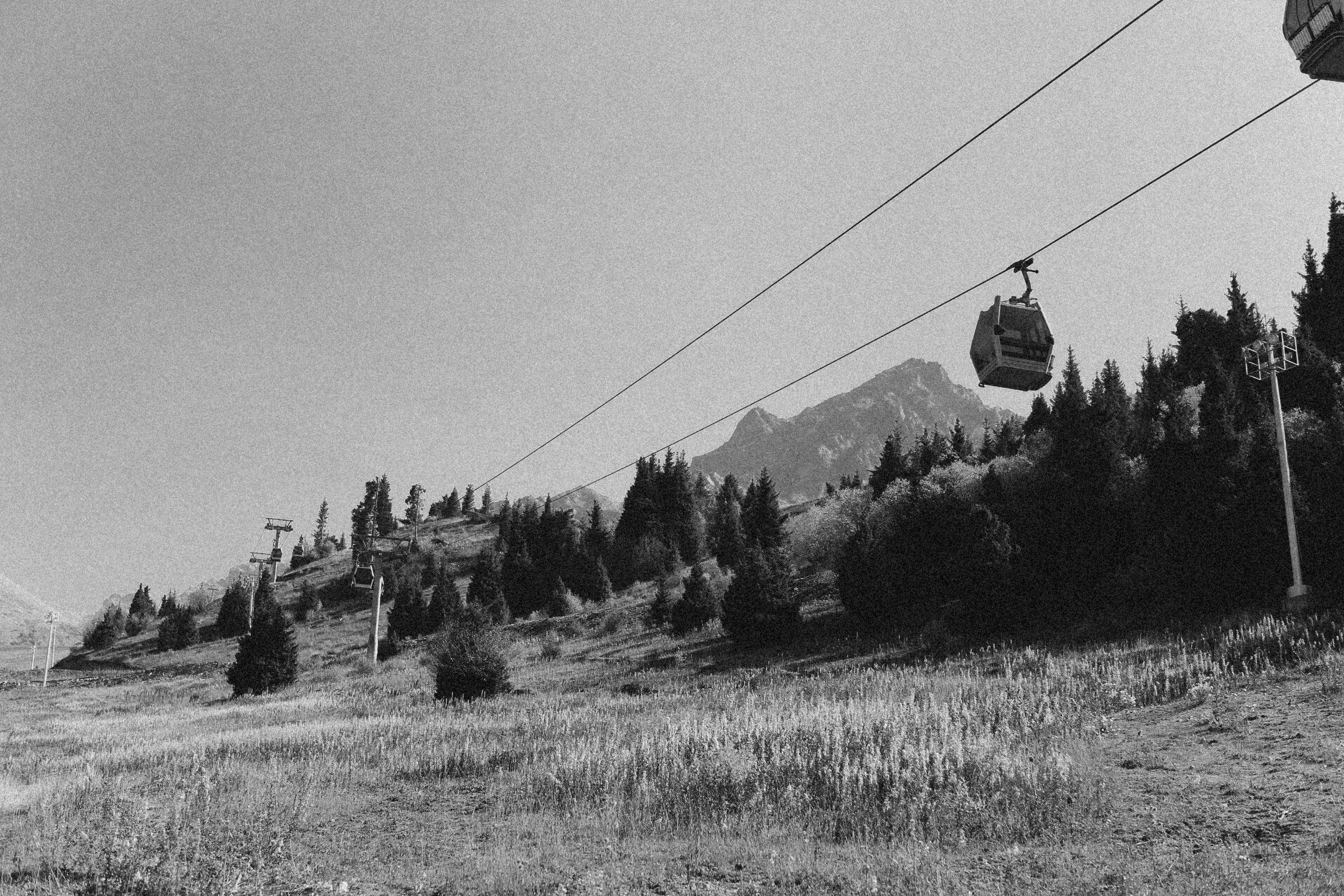 Photo by alexeydemidov