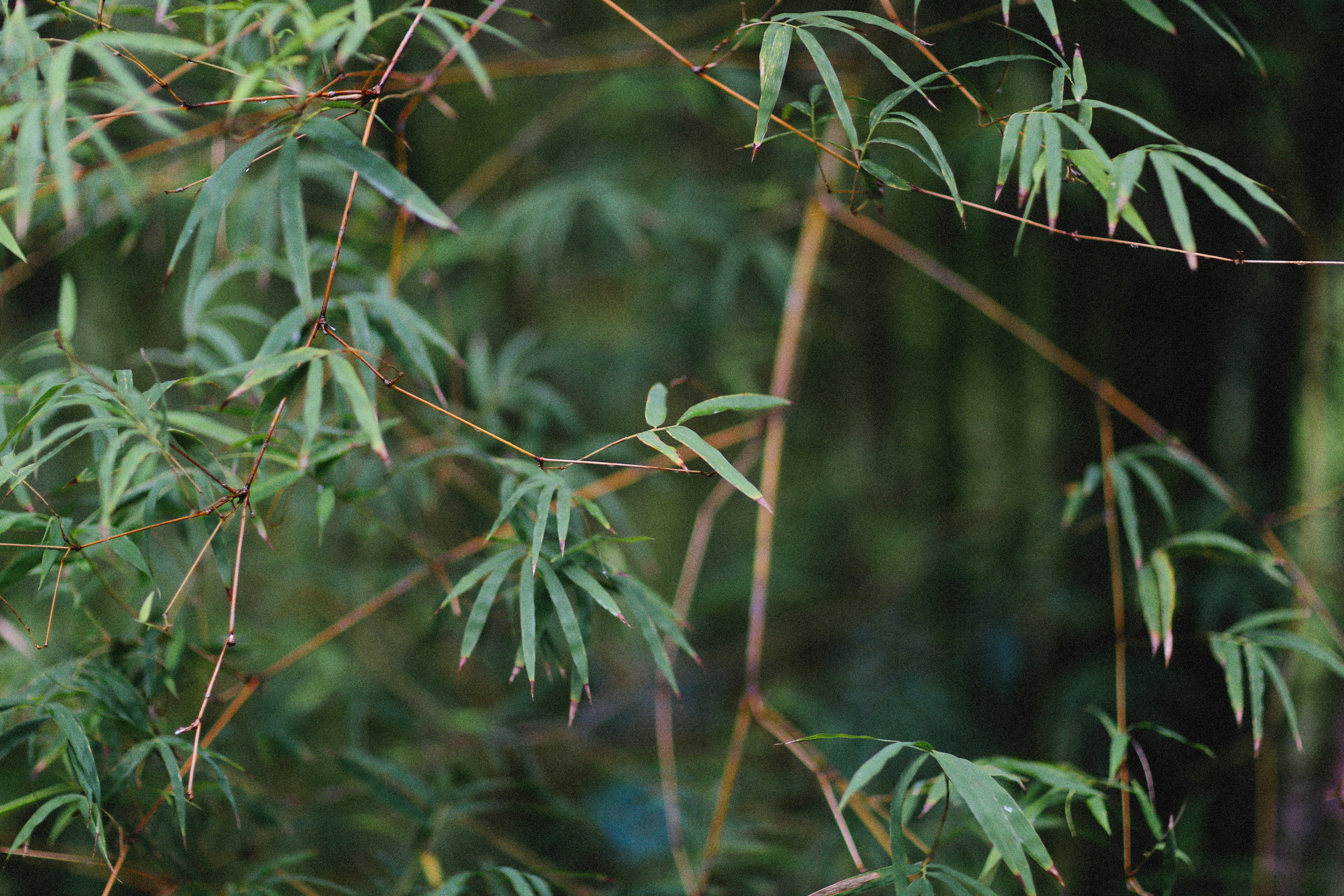 Photo by alexeydemidov