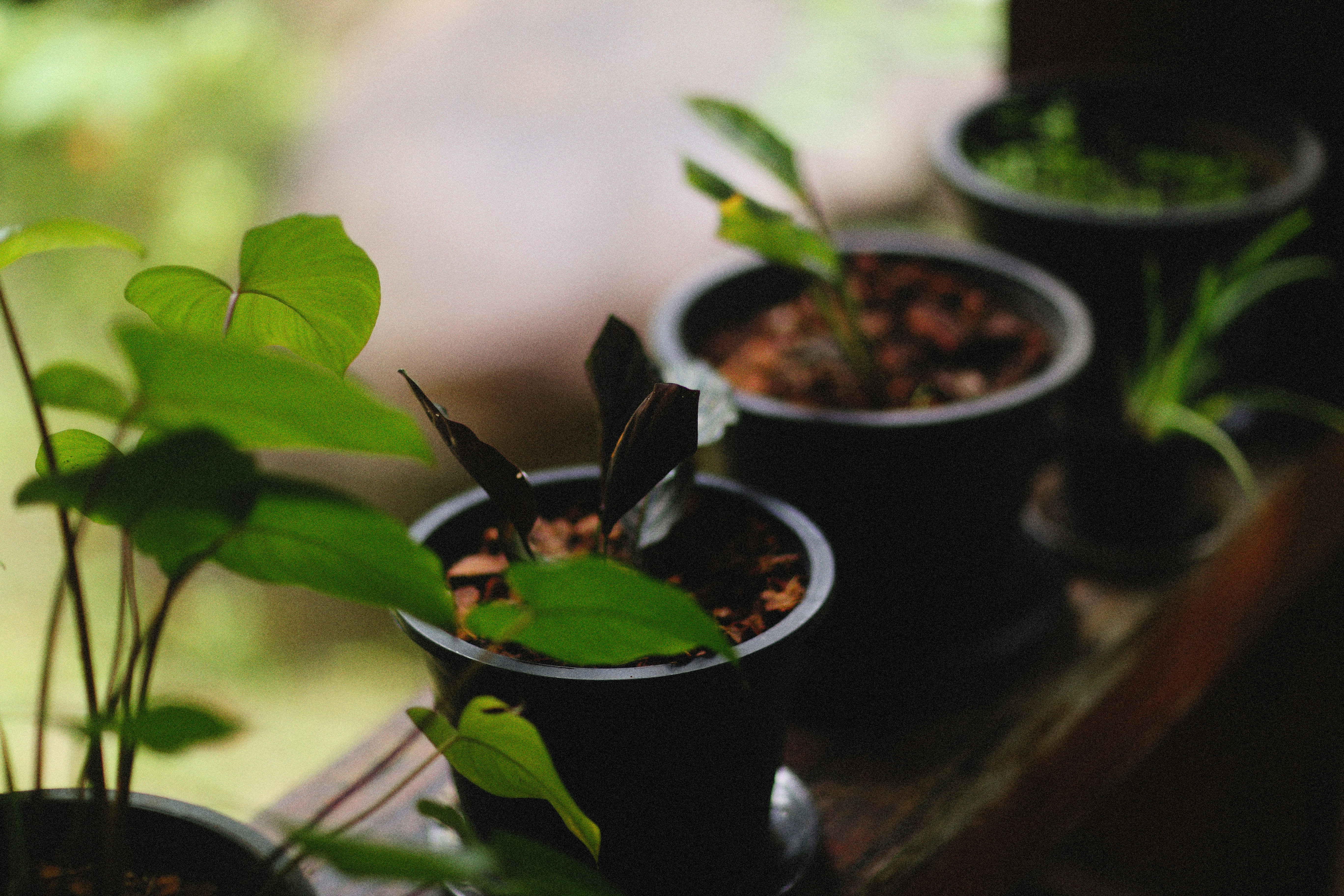 Photo by alexeydemidov