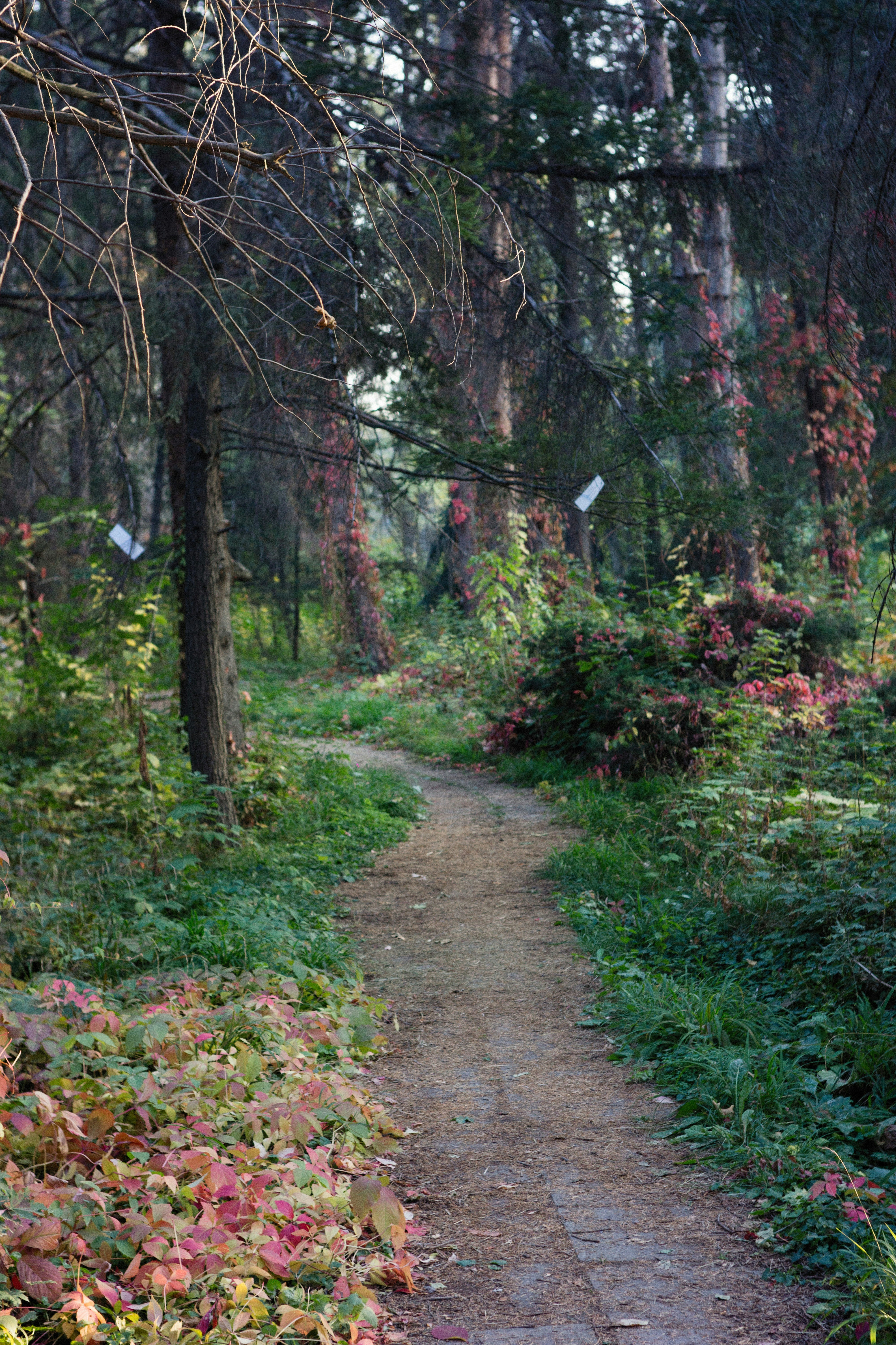 Photo by alexeydemidov