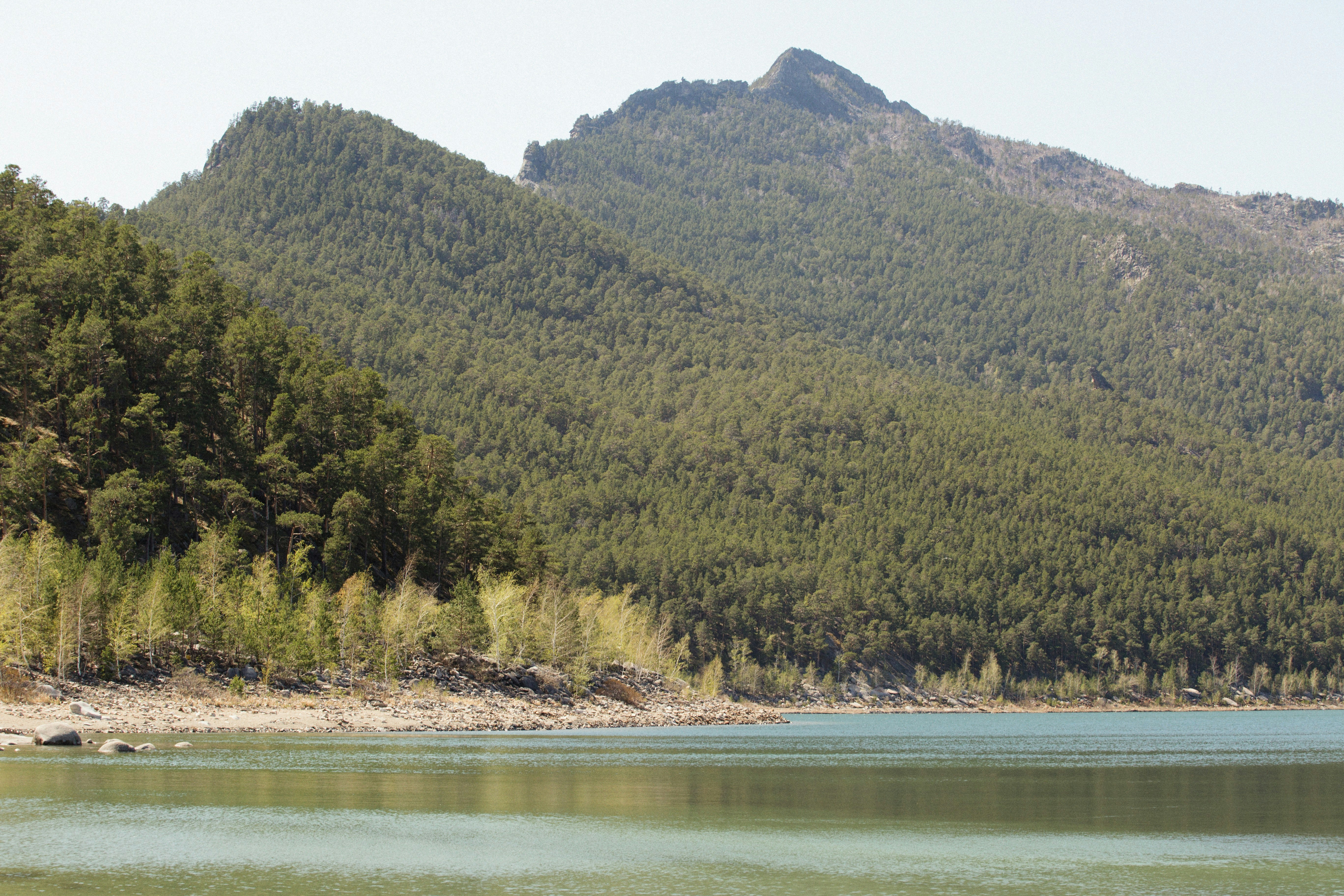 Photo by alexeydemidov