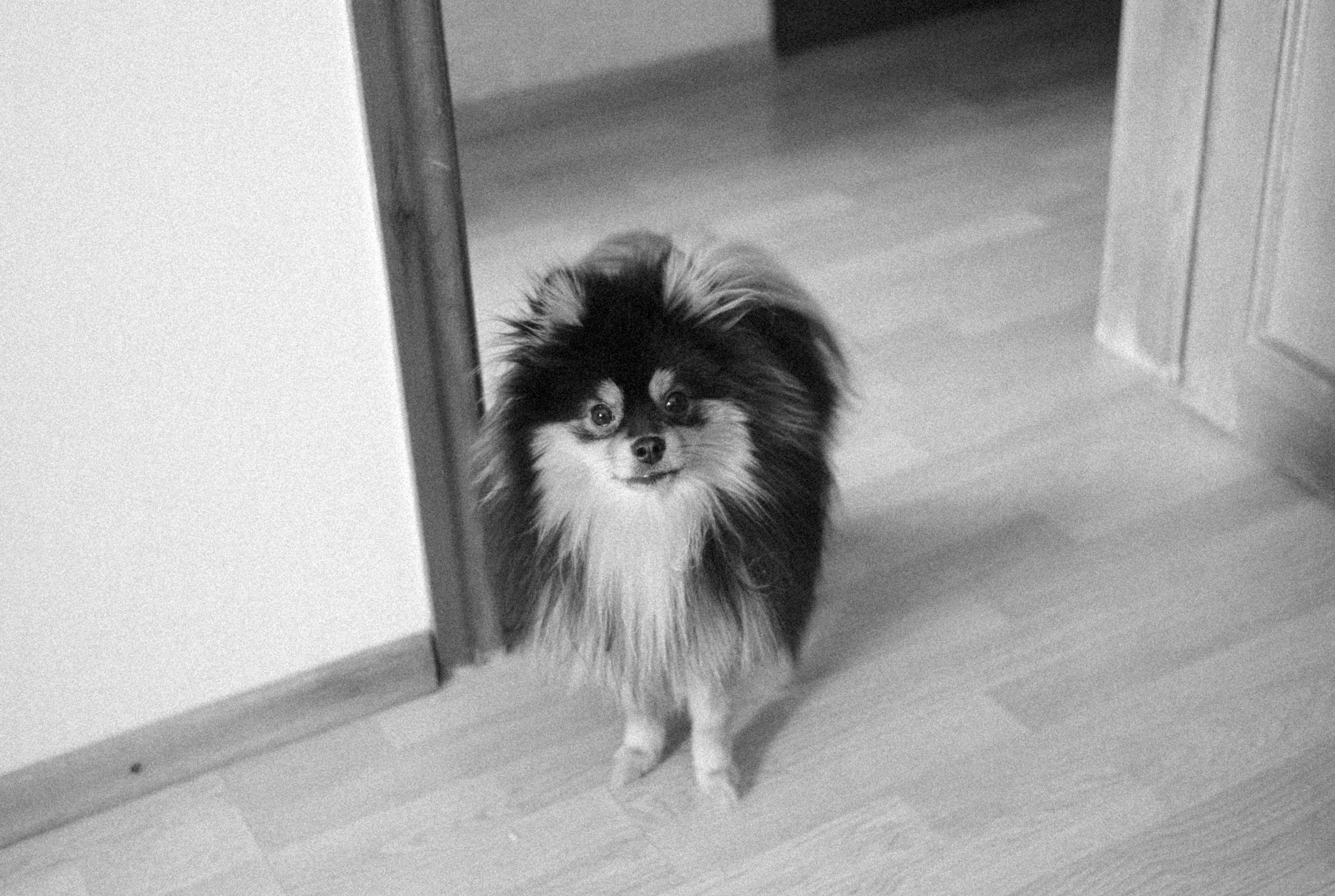 Photo by alexeydemidov