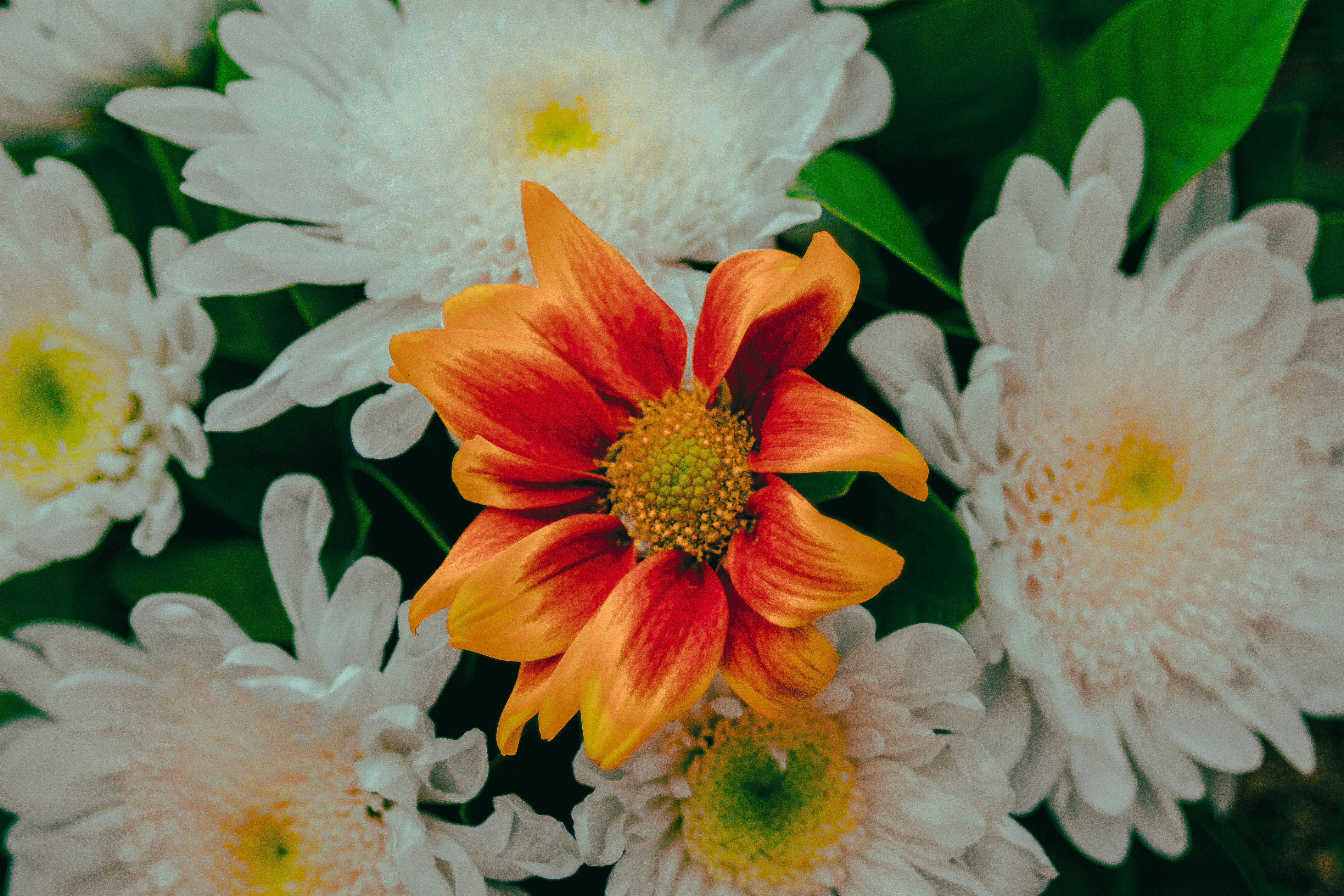 Photo by roadahead_2223