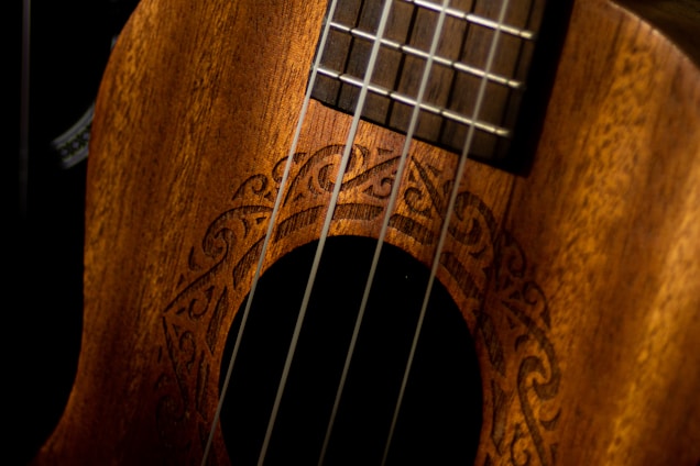 Close-up view of a wooden stringed instrument with intricate carvings around the soundhole. The image highlights the rich texture and craftsmanship of the wood.
