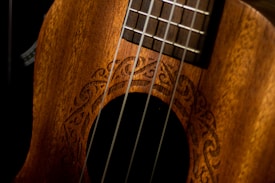Close-up view of a wooden stringed instrument with intricate carvings around the soundhole. The image highlights the rich texture and craftsmanship of the wood.