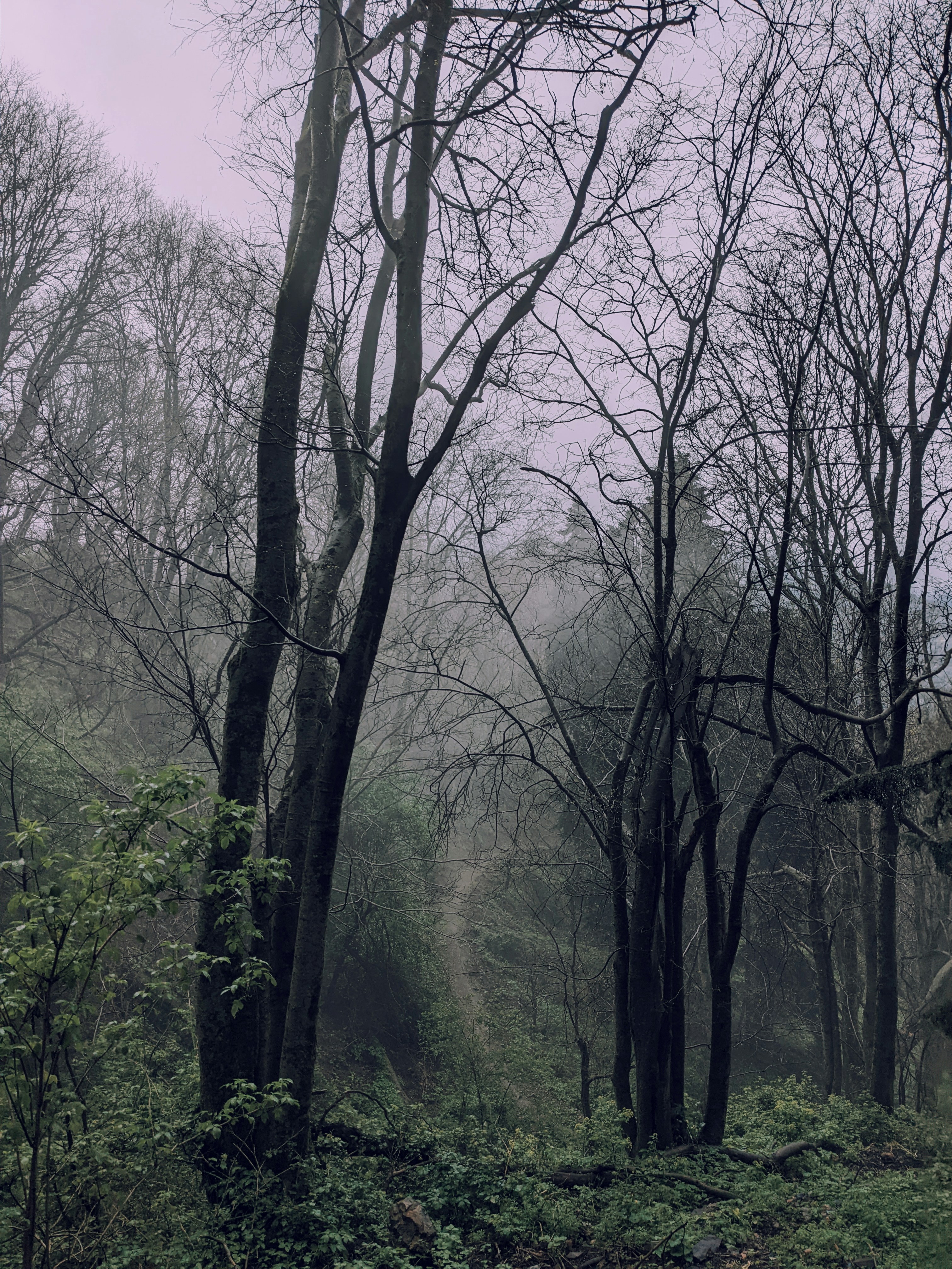 Photo by mehdi_i9_