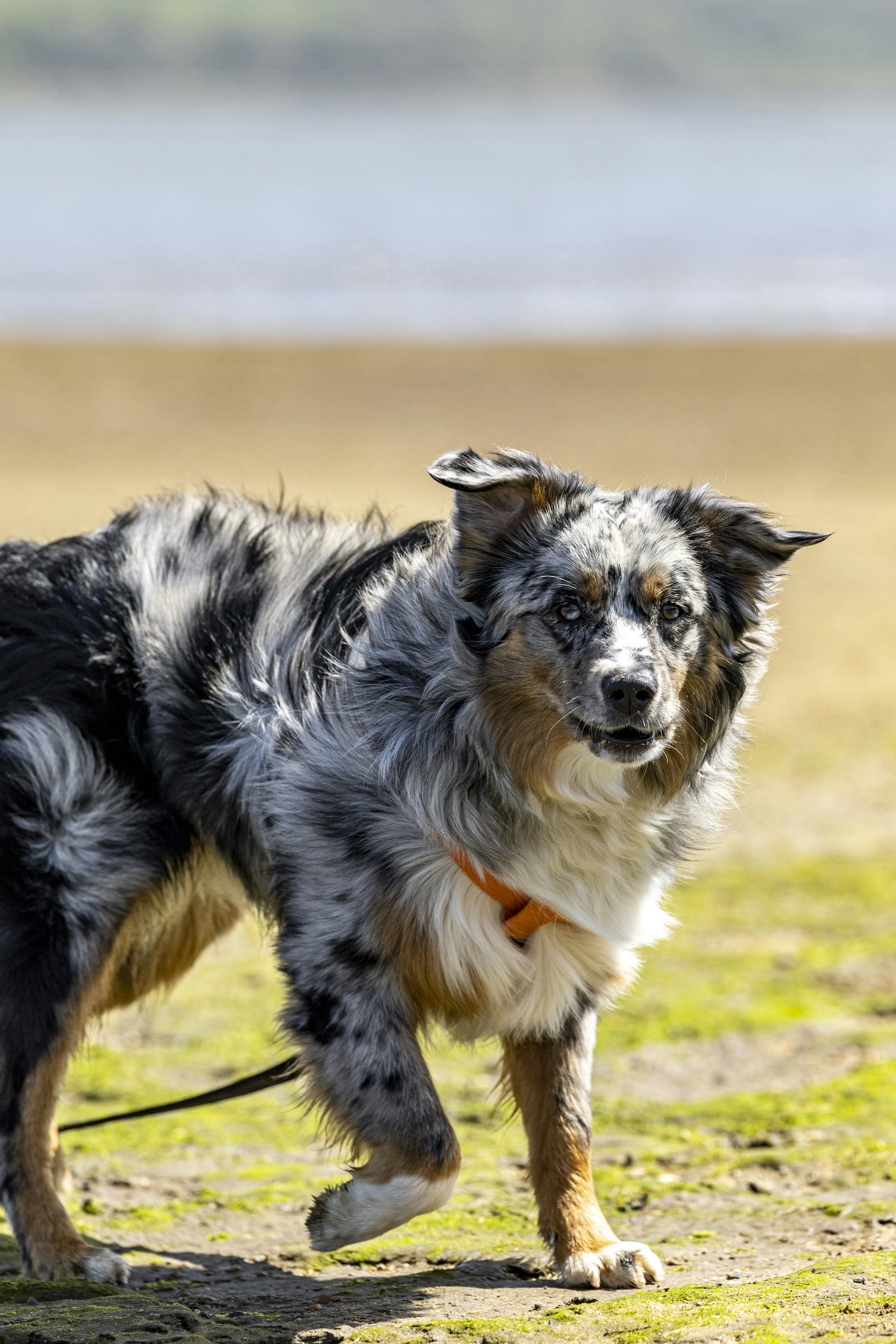 Photo by leo_visions_