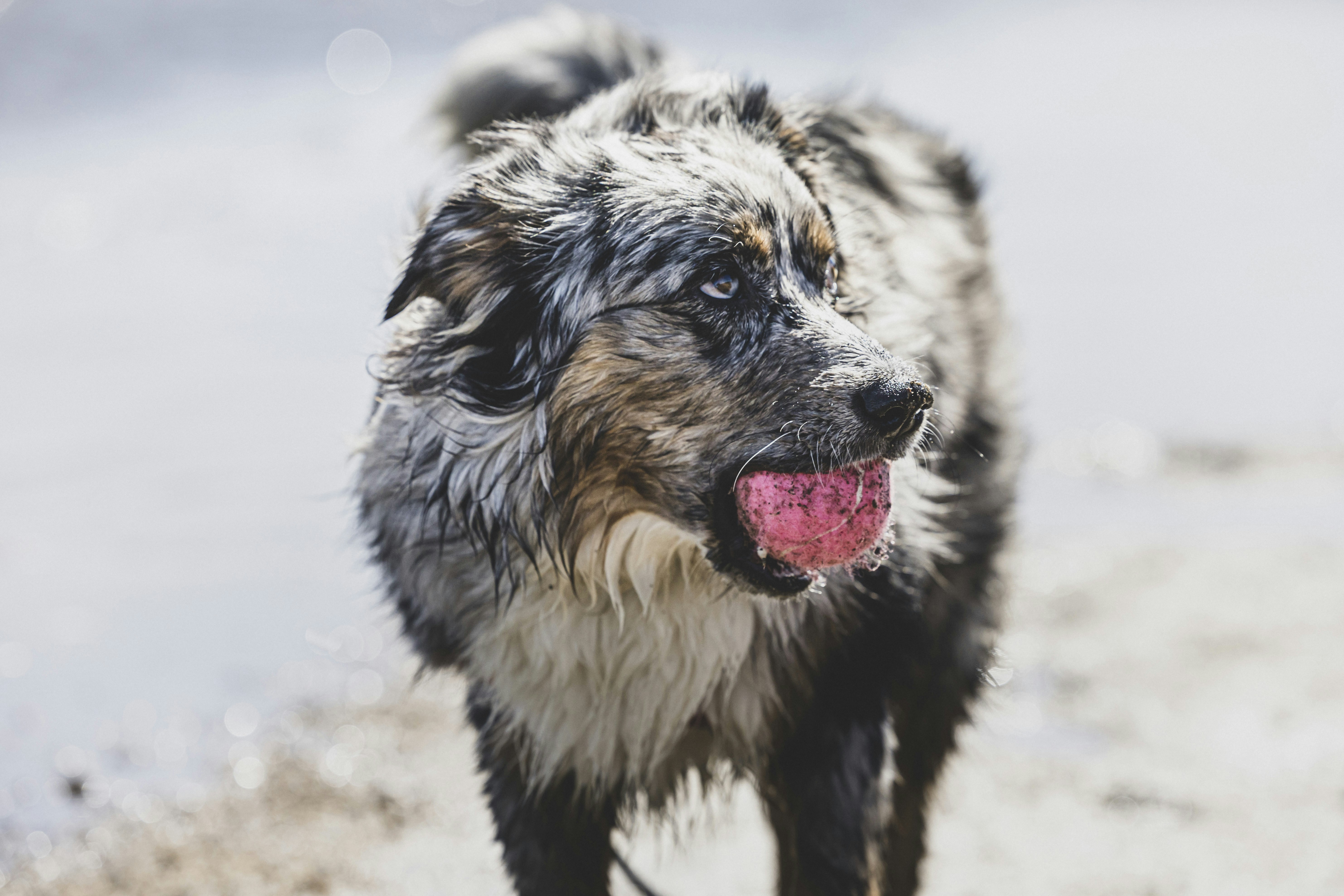 Photo by leo_visions_