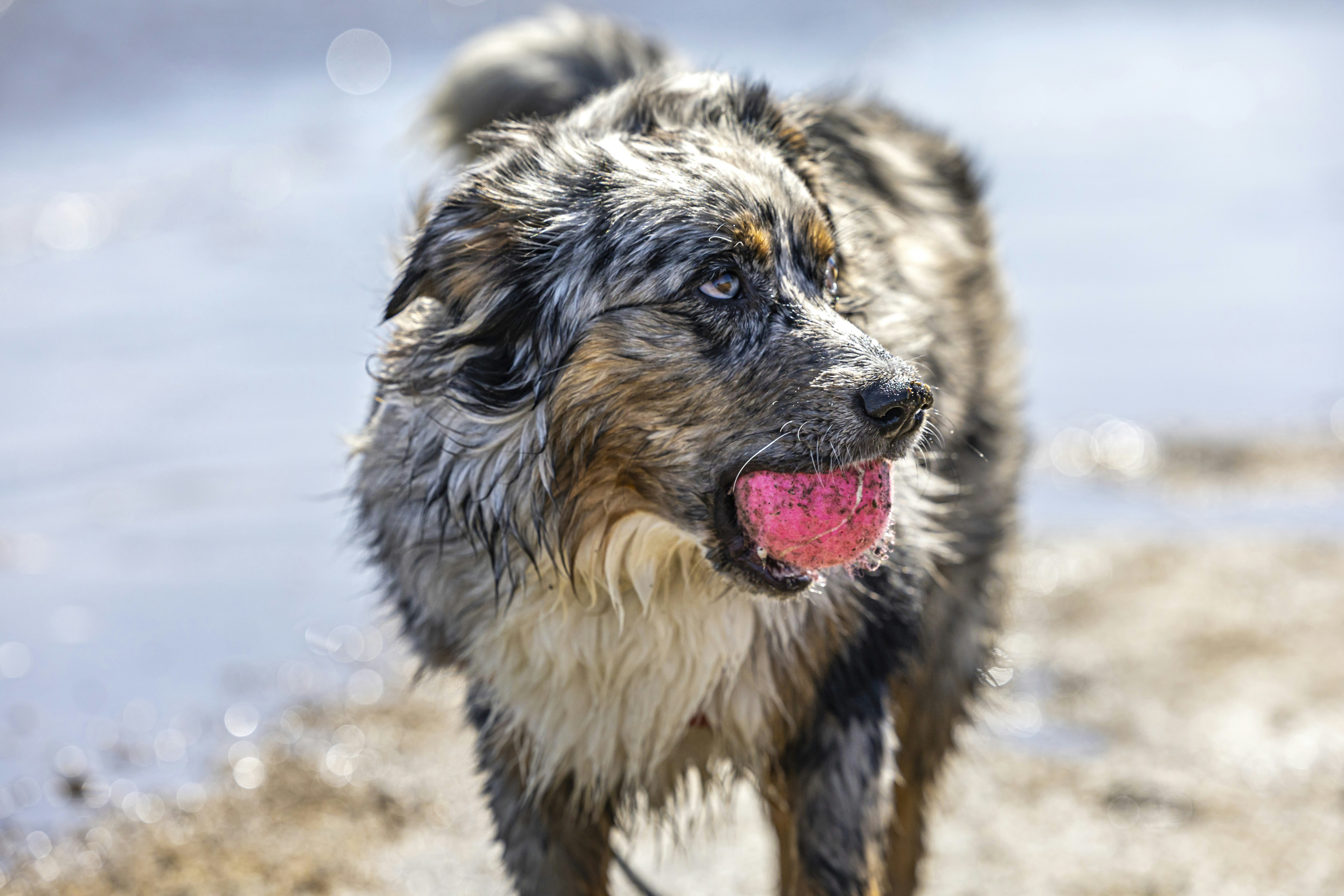 Photo by leo_visions_