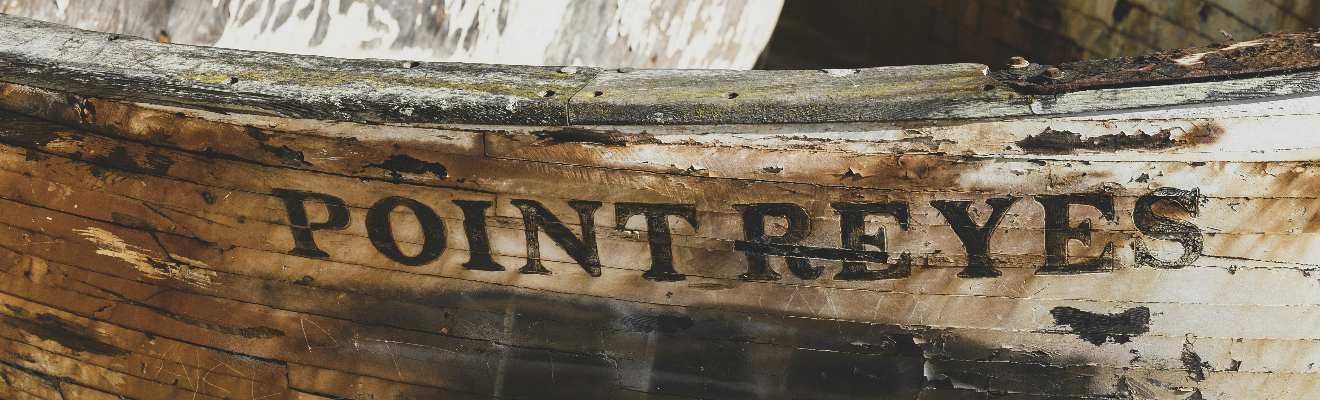 Fermin Turcotte Real Name Pictures Download Free Images on Unsplash