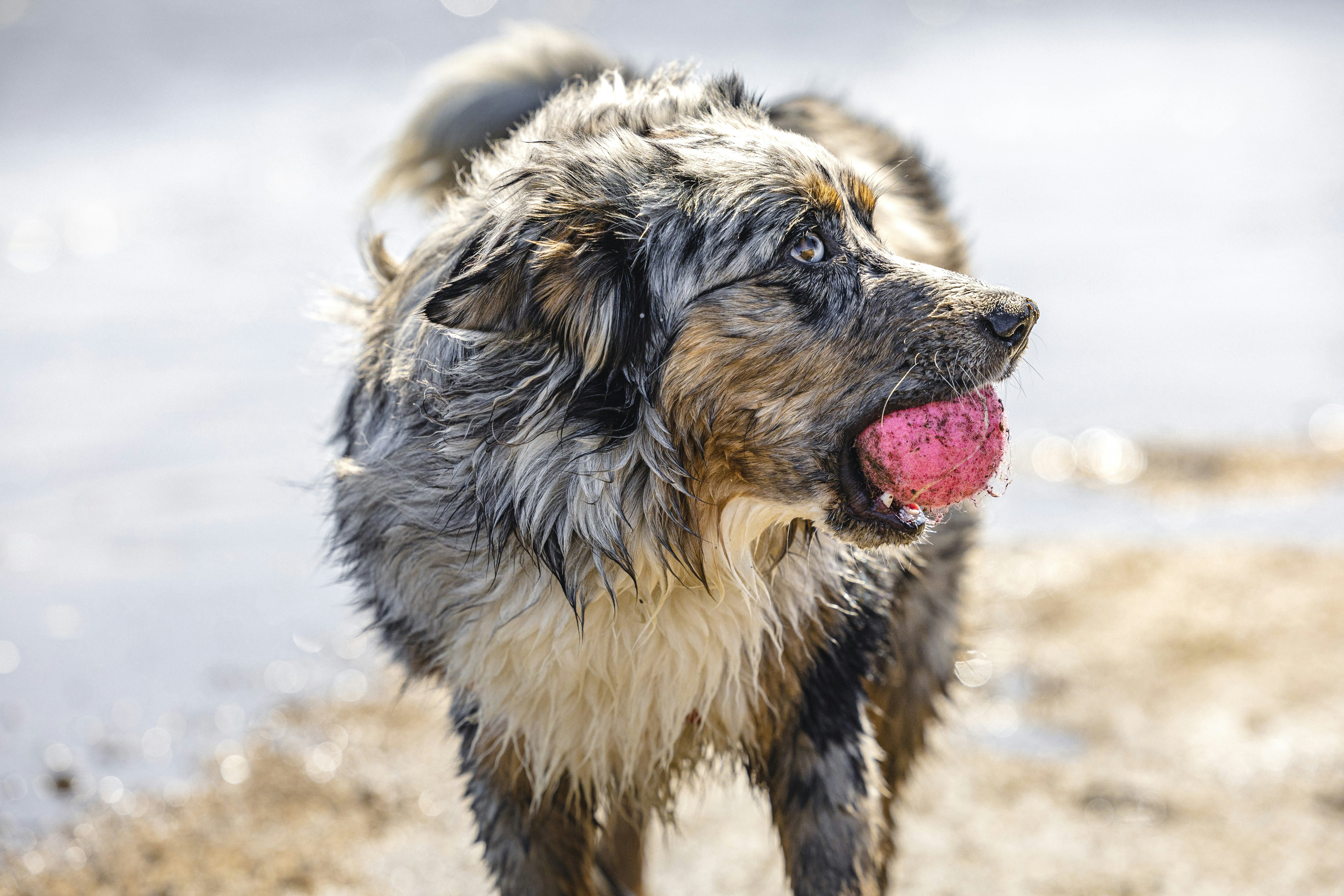 Photo by leo_visions_