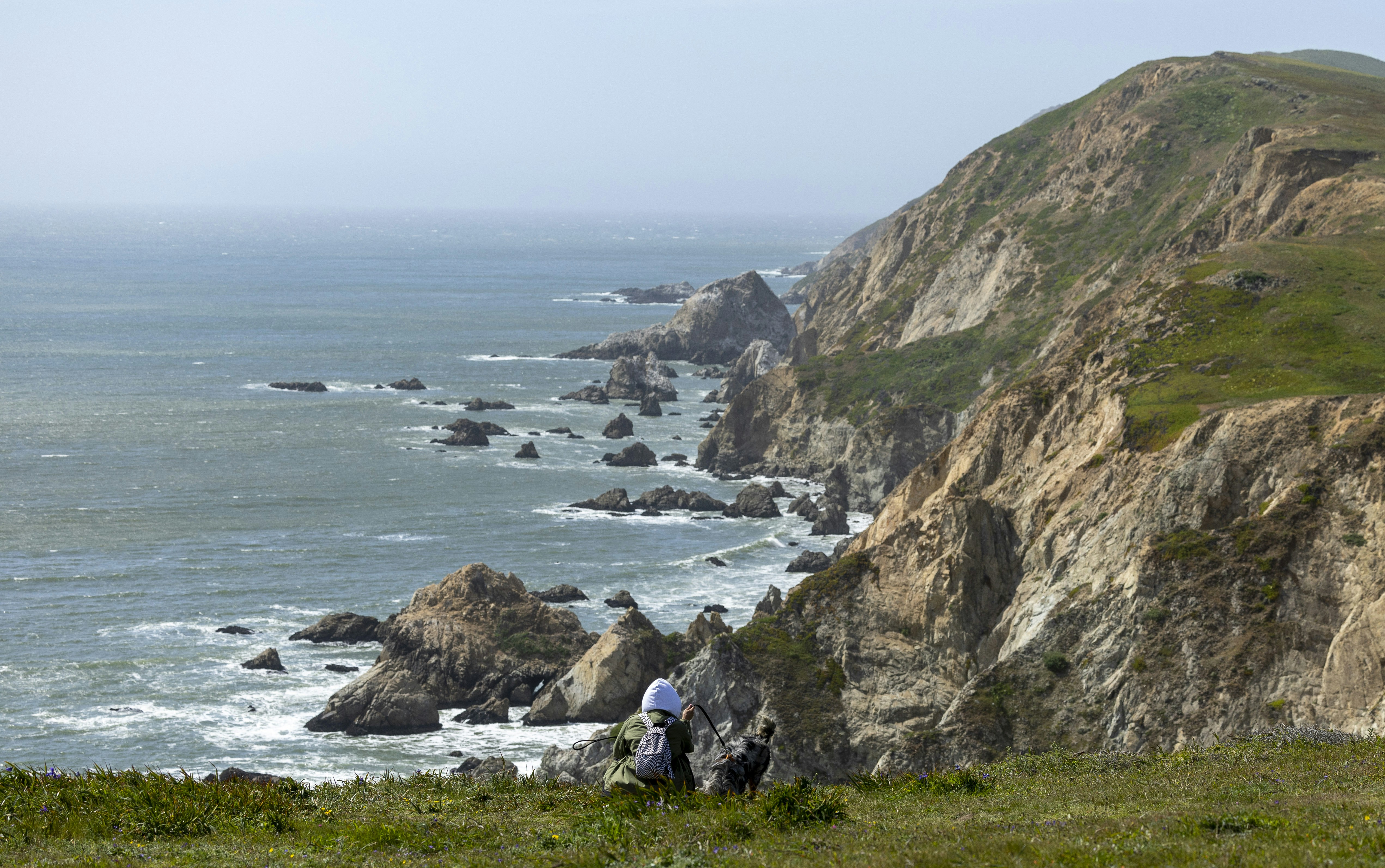 Photo by leo_visions_