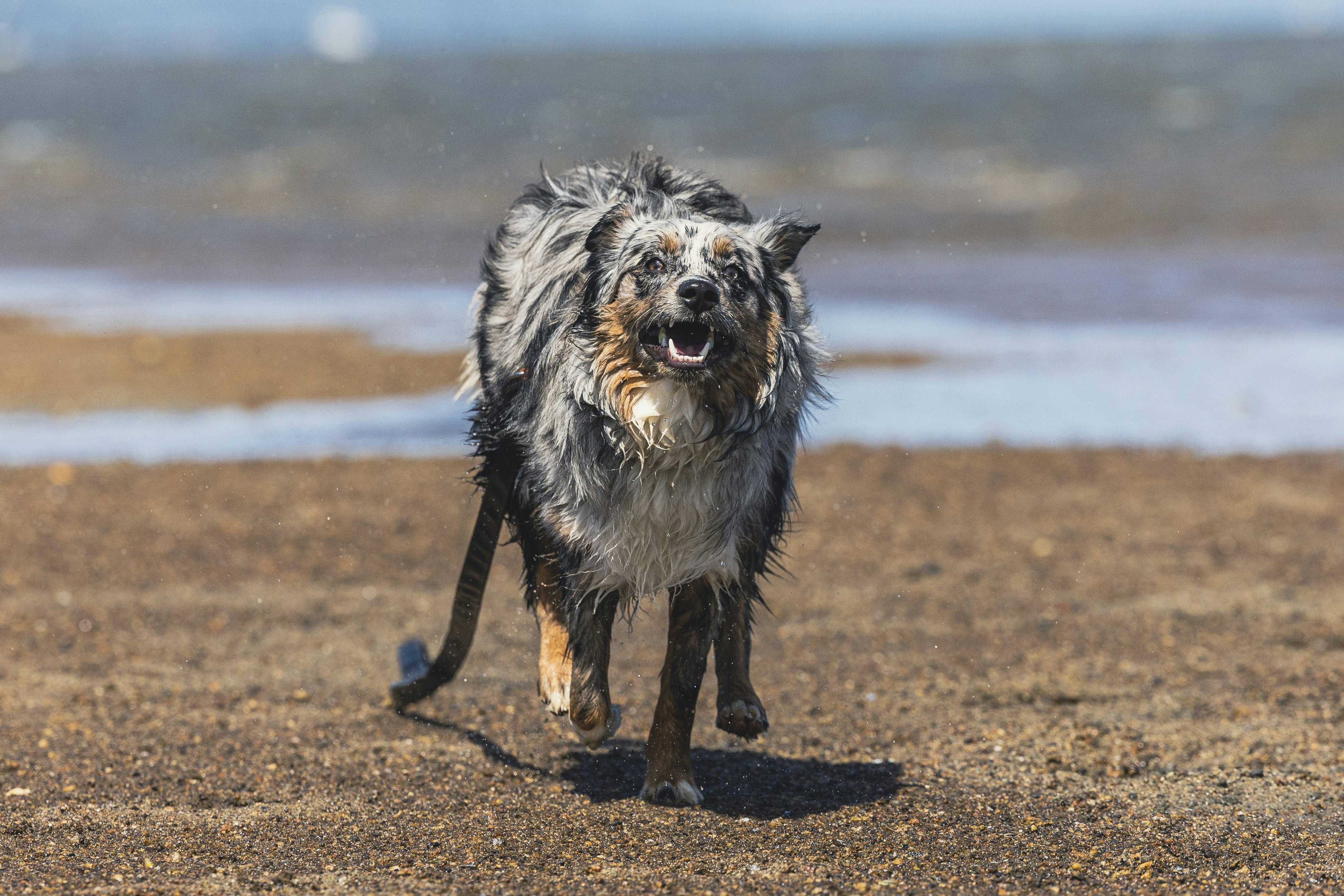 Photo by leo_visions_