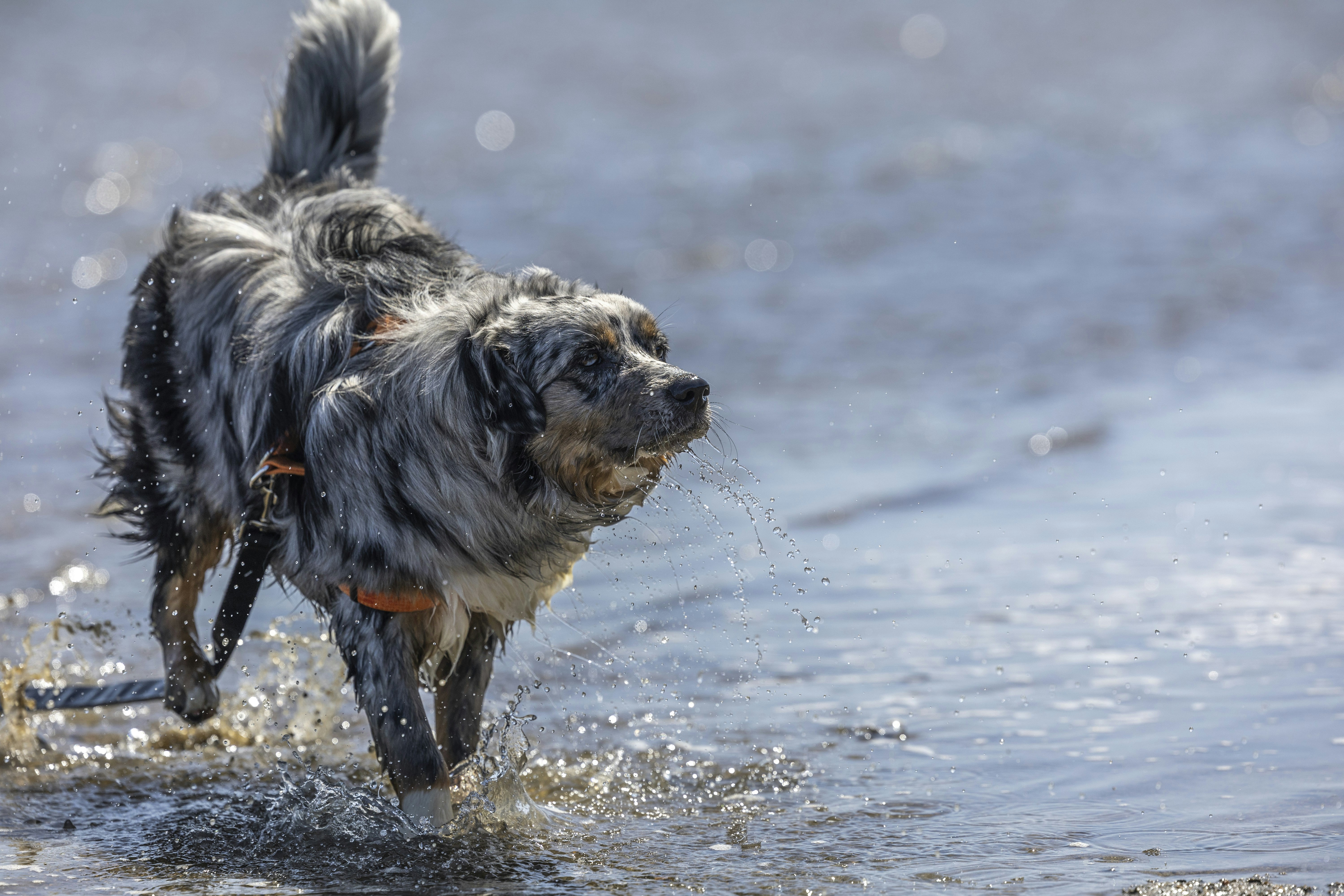 Photo by leo_visions_