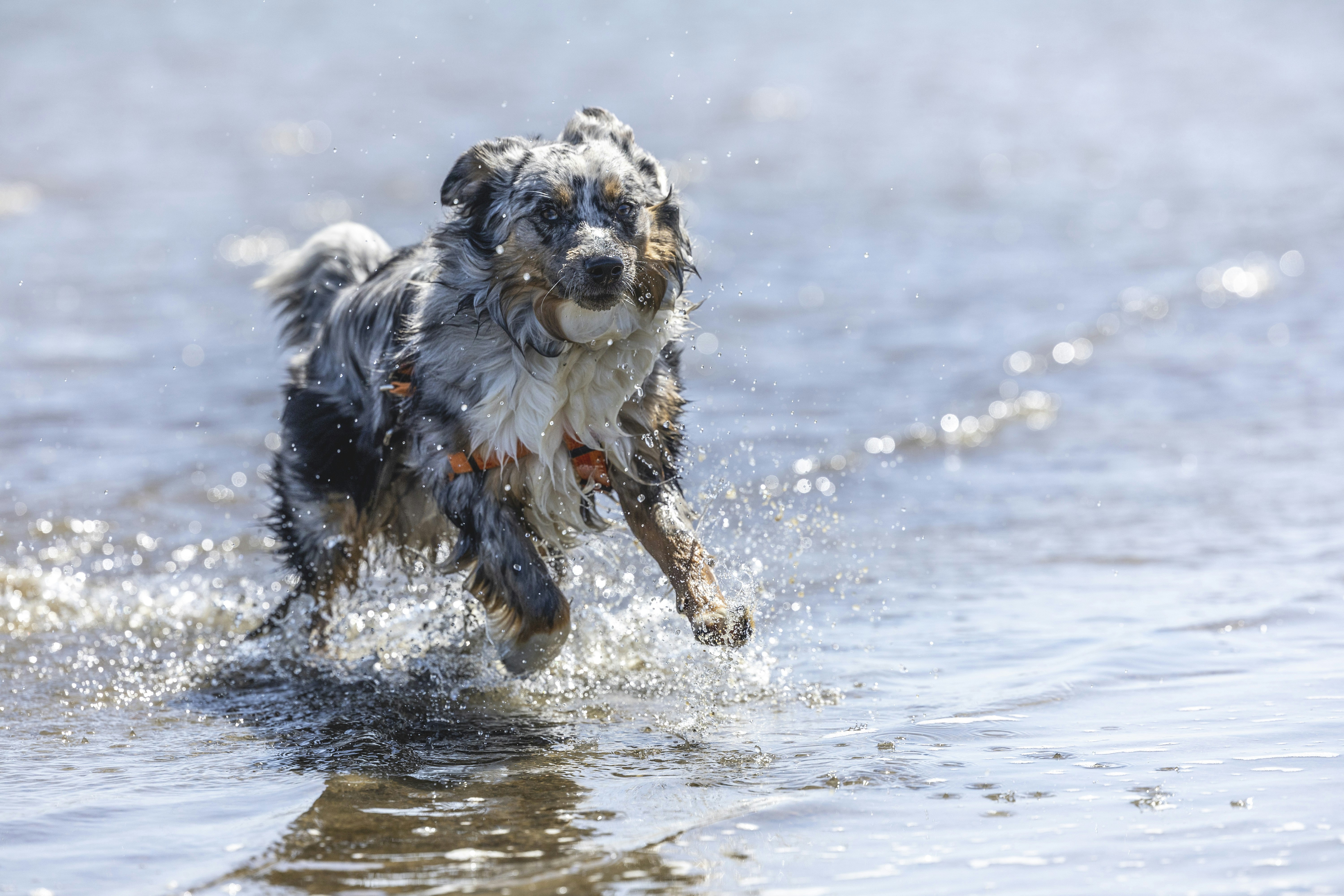 Photo by leo_visions_