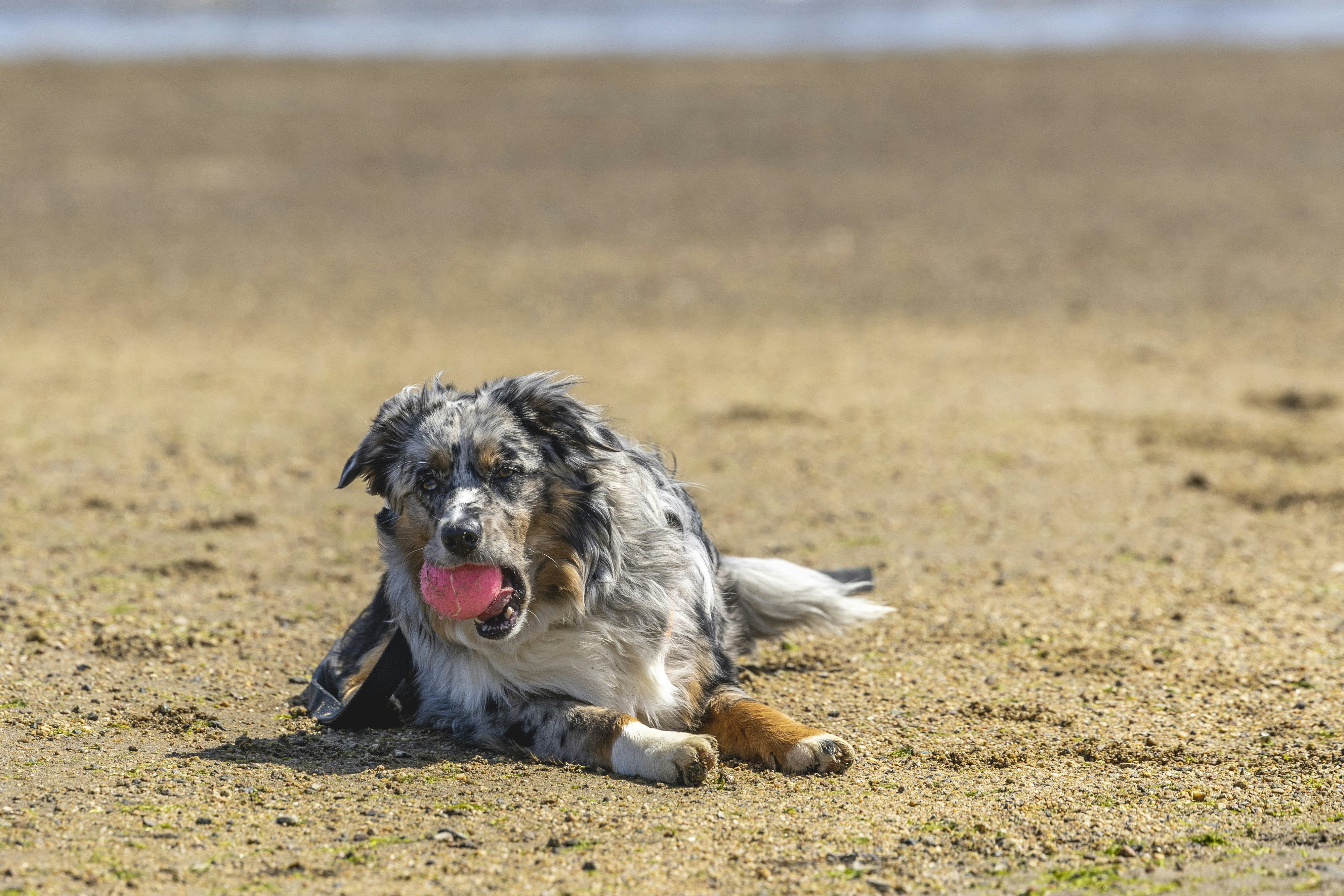 Photo by leo_visions_