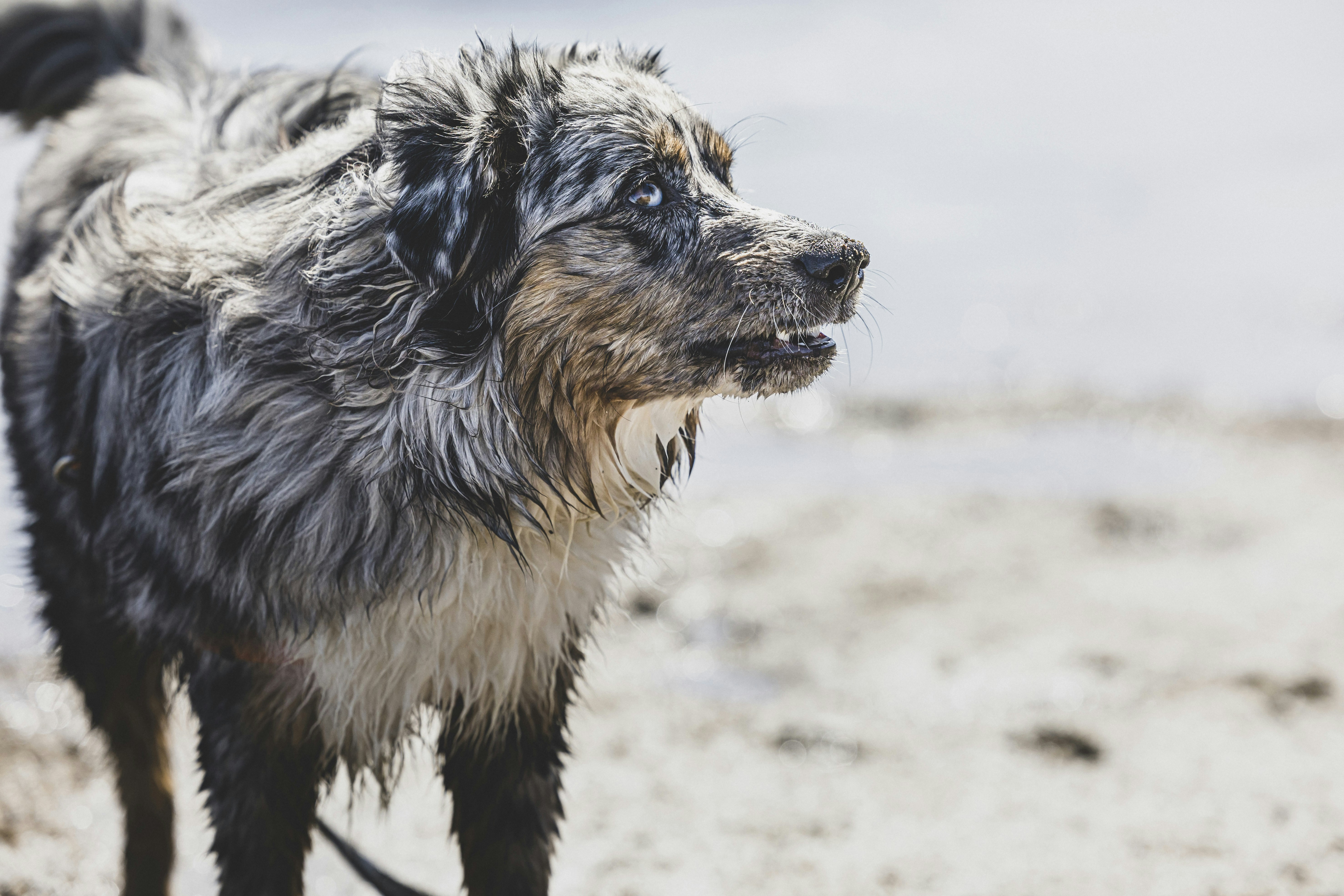 Photo by leo_visions_