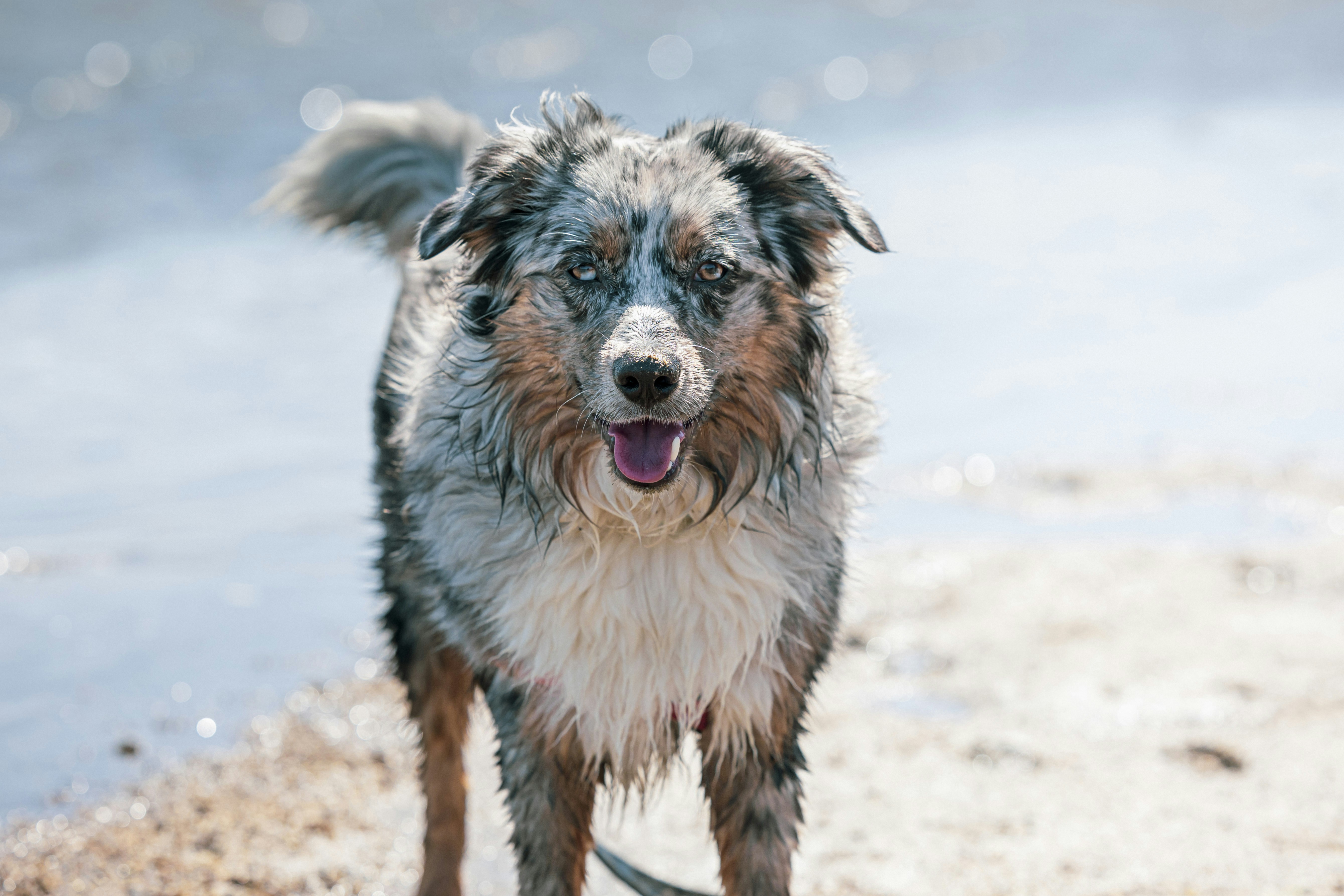 Photo by leo_visions_