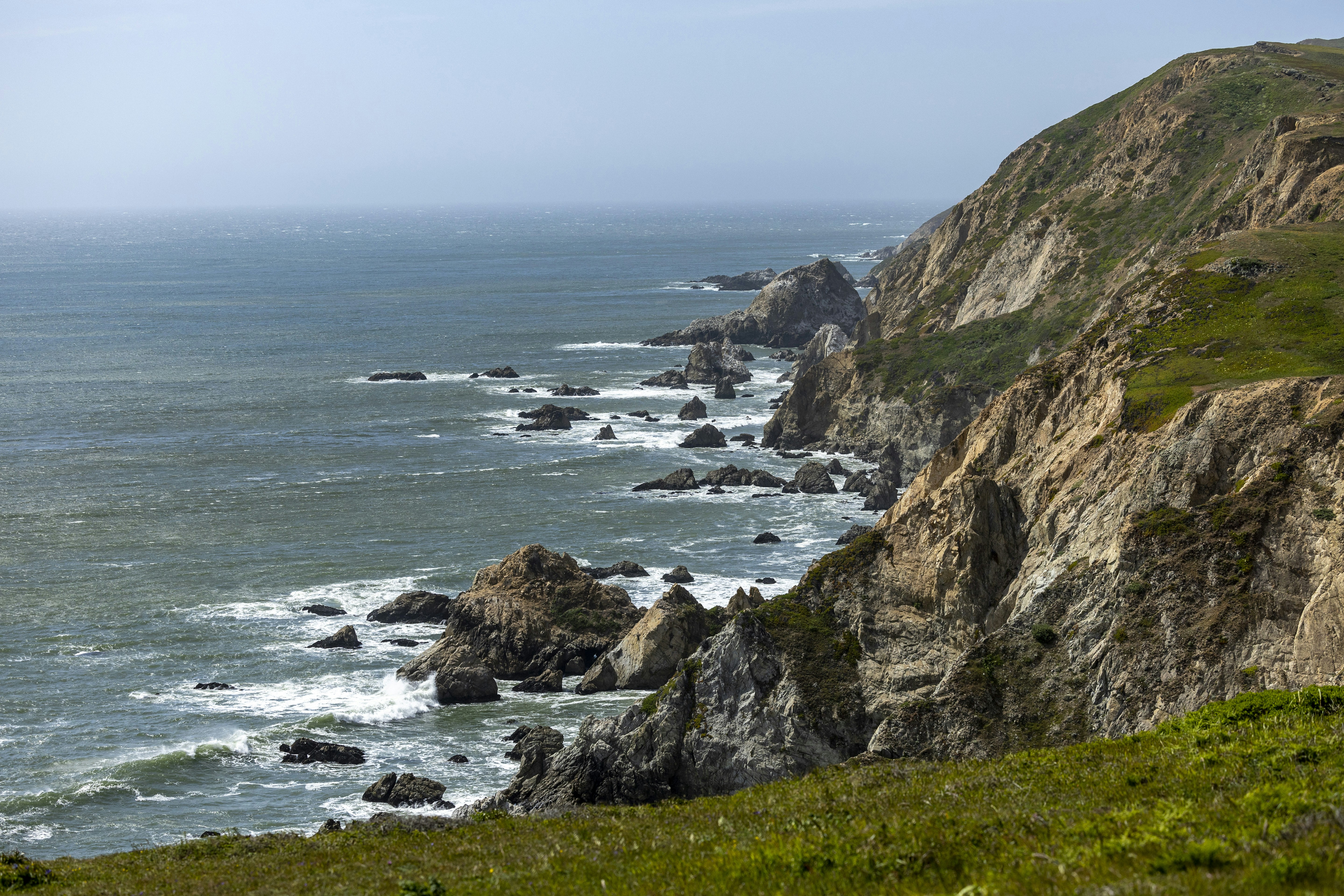 Photo by leo_visions_