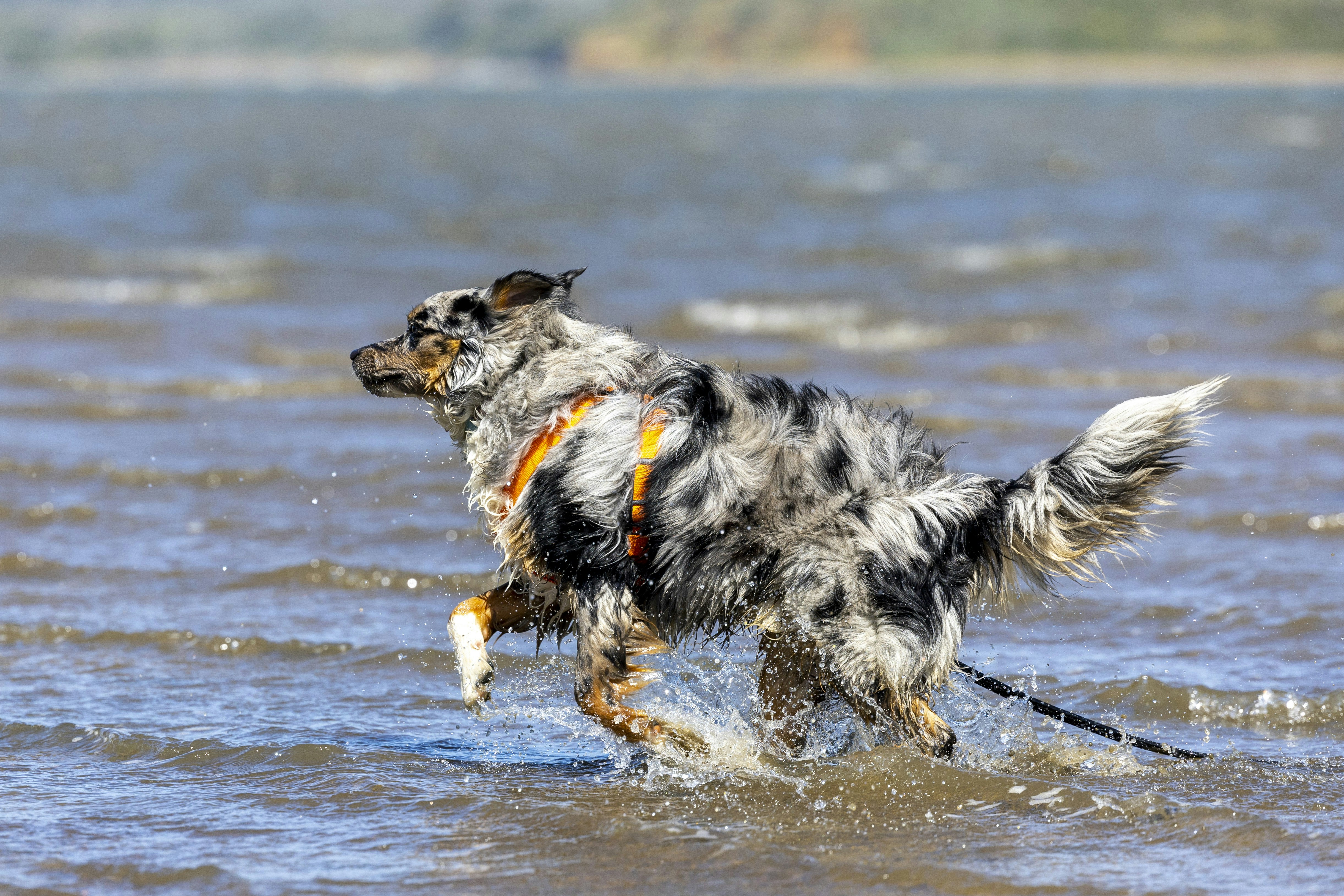 Photo by leo_visions_