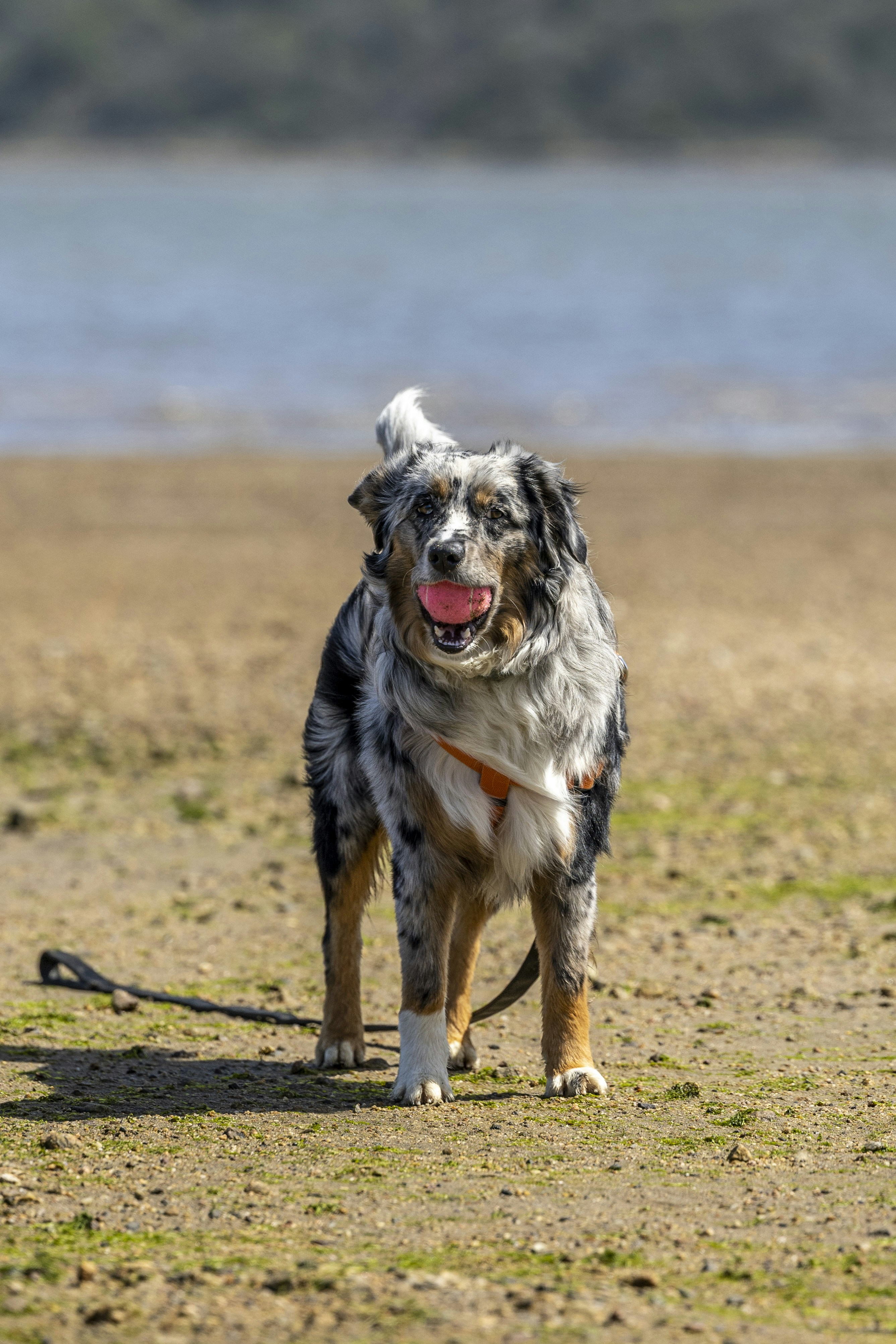 Photo by leo_visions_