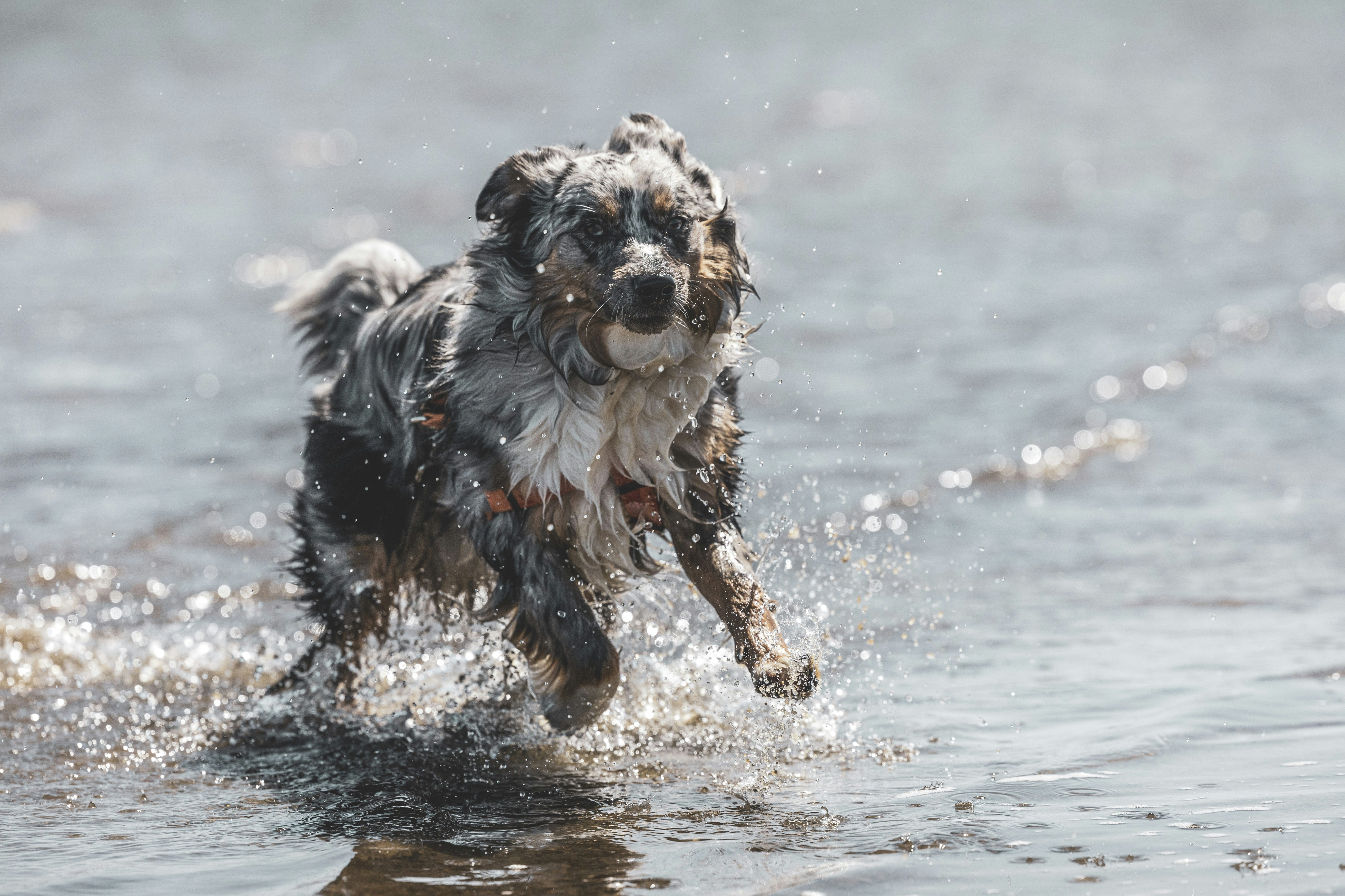 Photo by leo_visions_