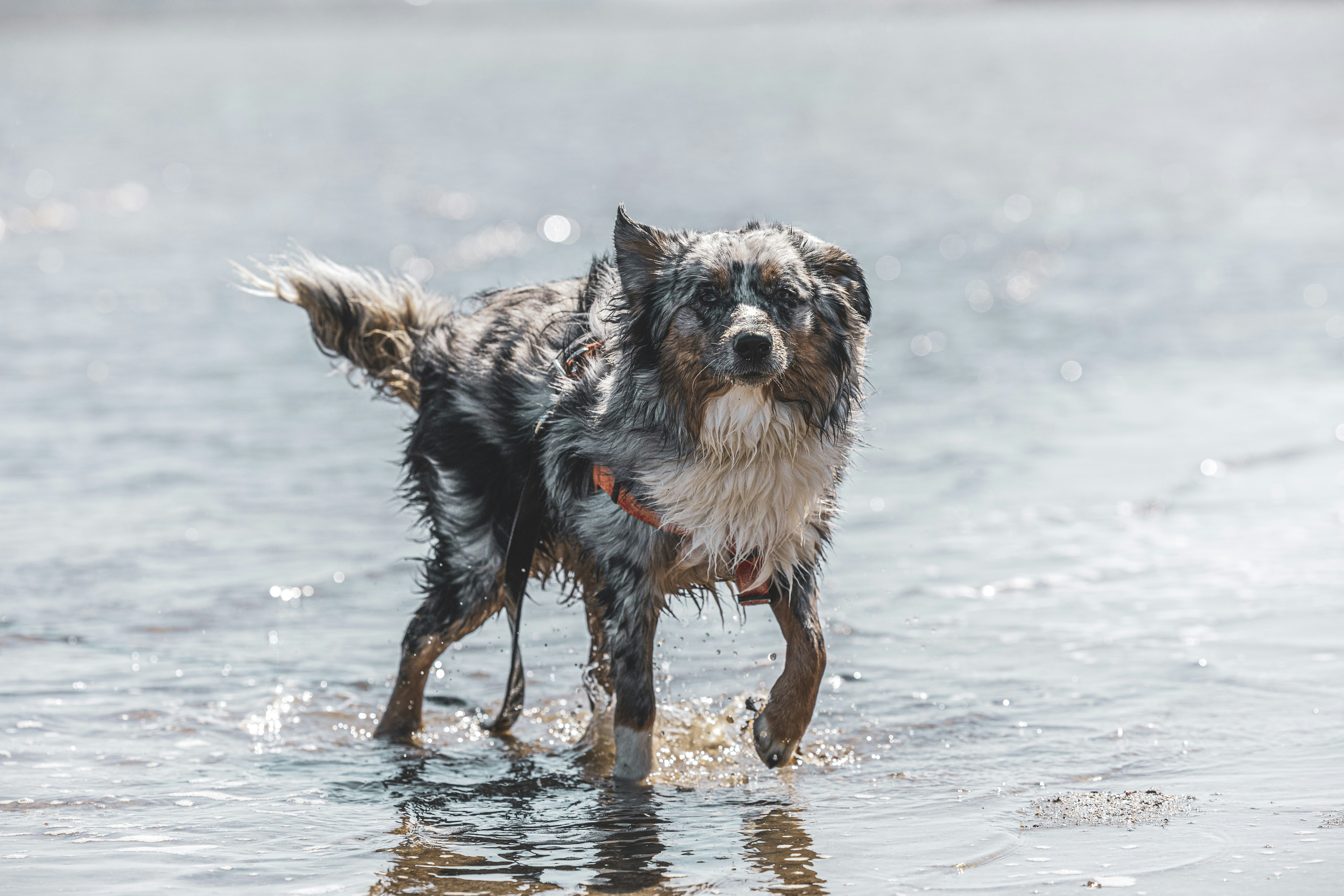 Photo by leo_visions_